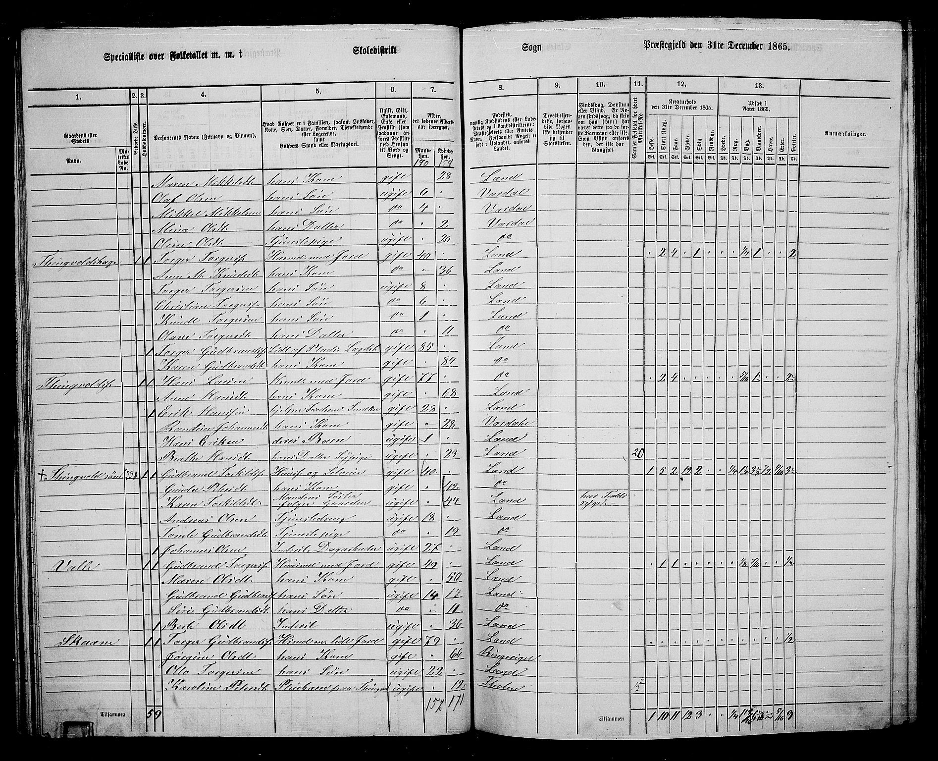 RA, 1865 census for Land, 1865, p. 253