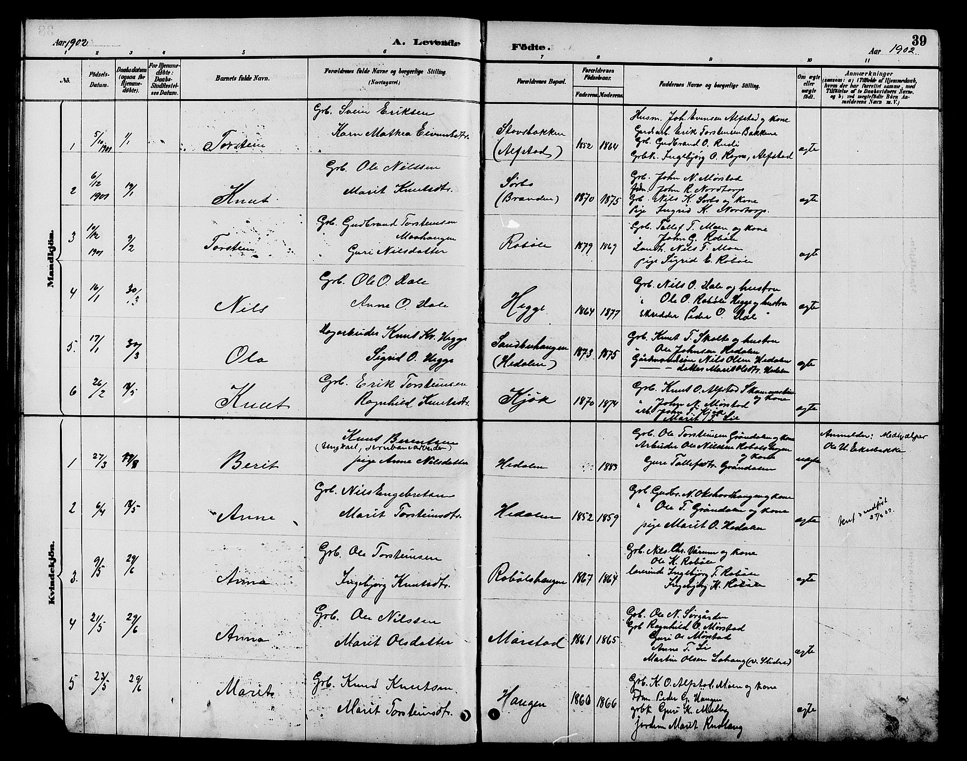 Øystre Slidre prestekontor, AV/SAH-PREST-138/H/Ha/Hab/L0004: Parish register (copy) no. 4, 1887-1907, p. 39