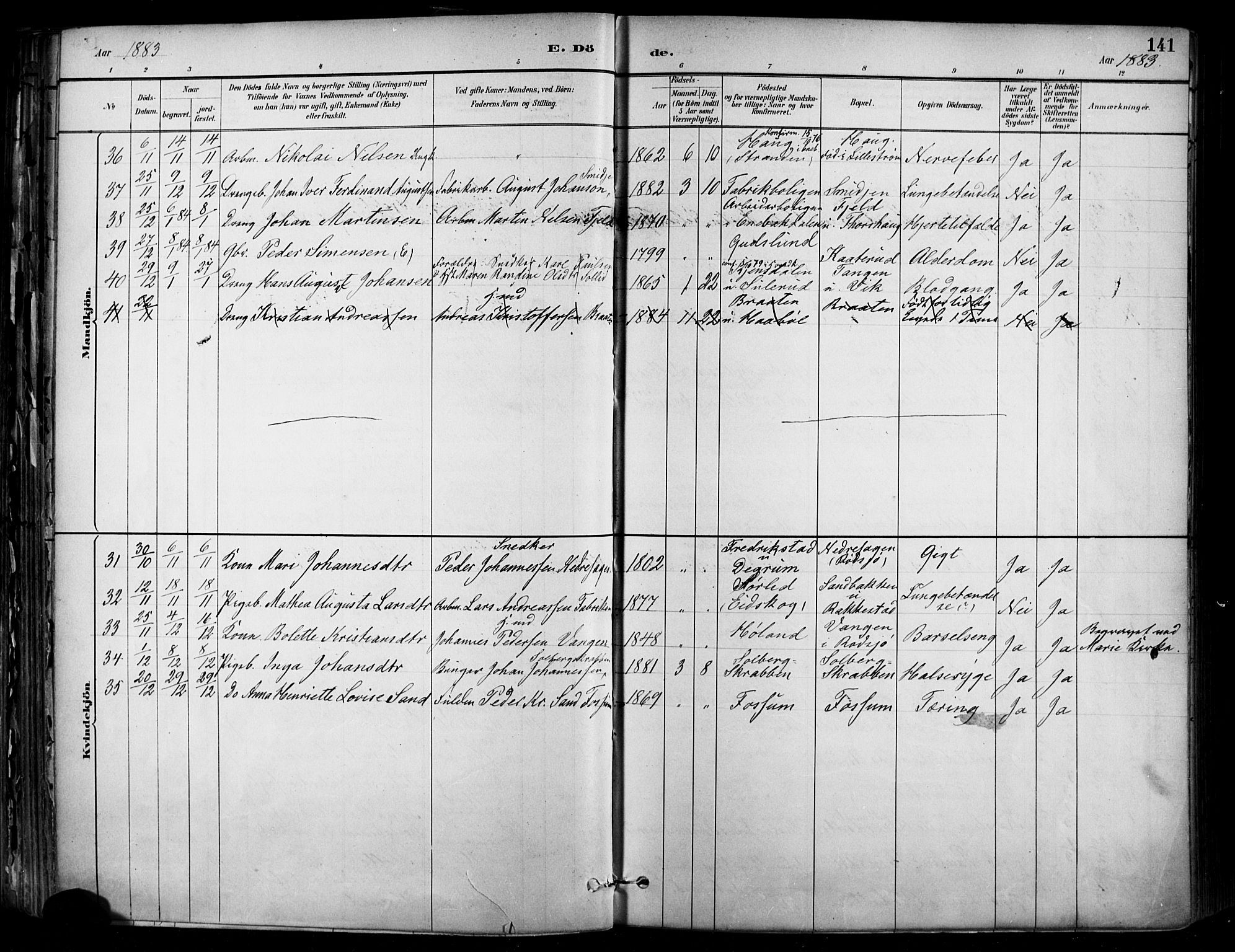 Enebakk prestekontor Kirkebøker, AV/SAO-A-10171c/F/Fa/L0016: Parish register (official) no. I 16, 1883-1898, p. 141