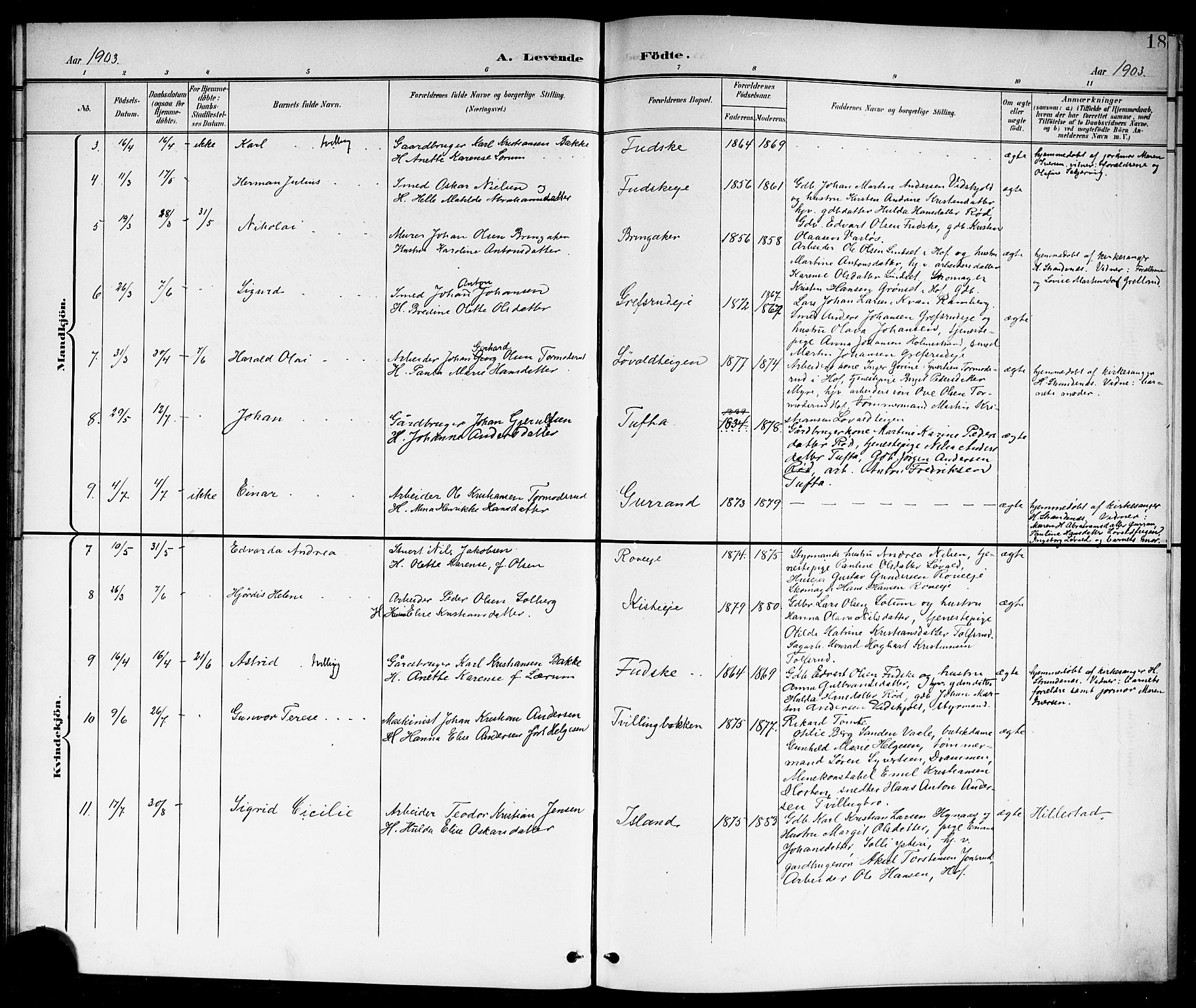 Botne kirkebøker, AV/SAKO-A-340/G/Ga/L0004: Parish register (copy) no. I 4, 1899-1915, p. 18