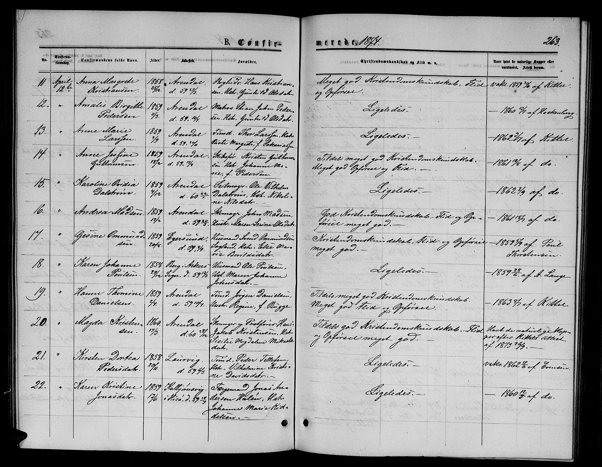 Arendal sokneprestkontor, Trefoldighet, SAK/1111-0040/F/Fb/L0005: Parish register (copy) no. B 5, 1874-1888, p. 263