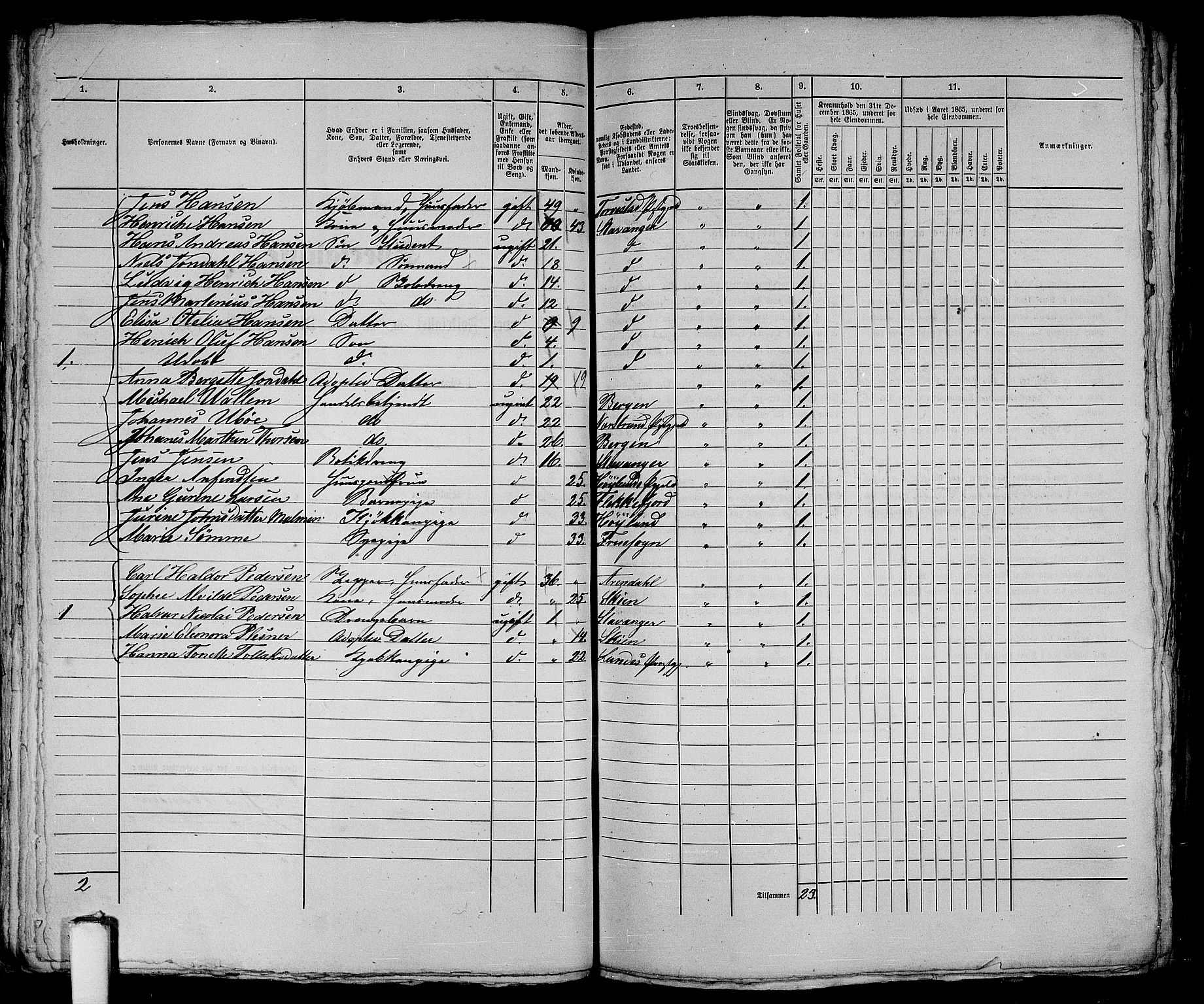 RA, 1865 census for Stavanger, 1865, p. 119