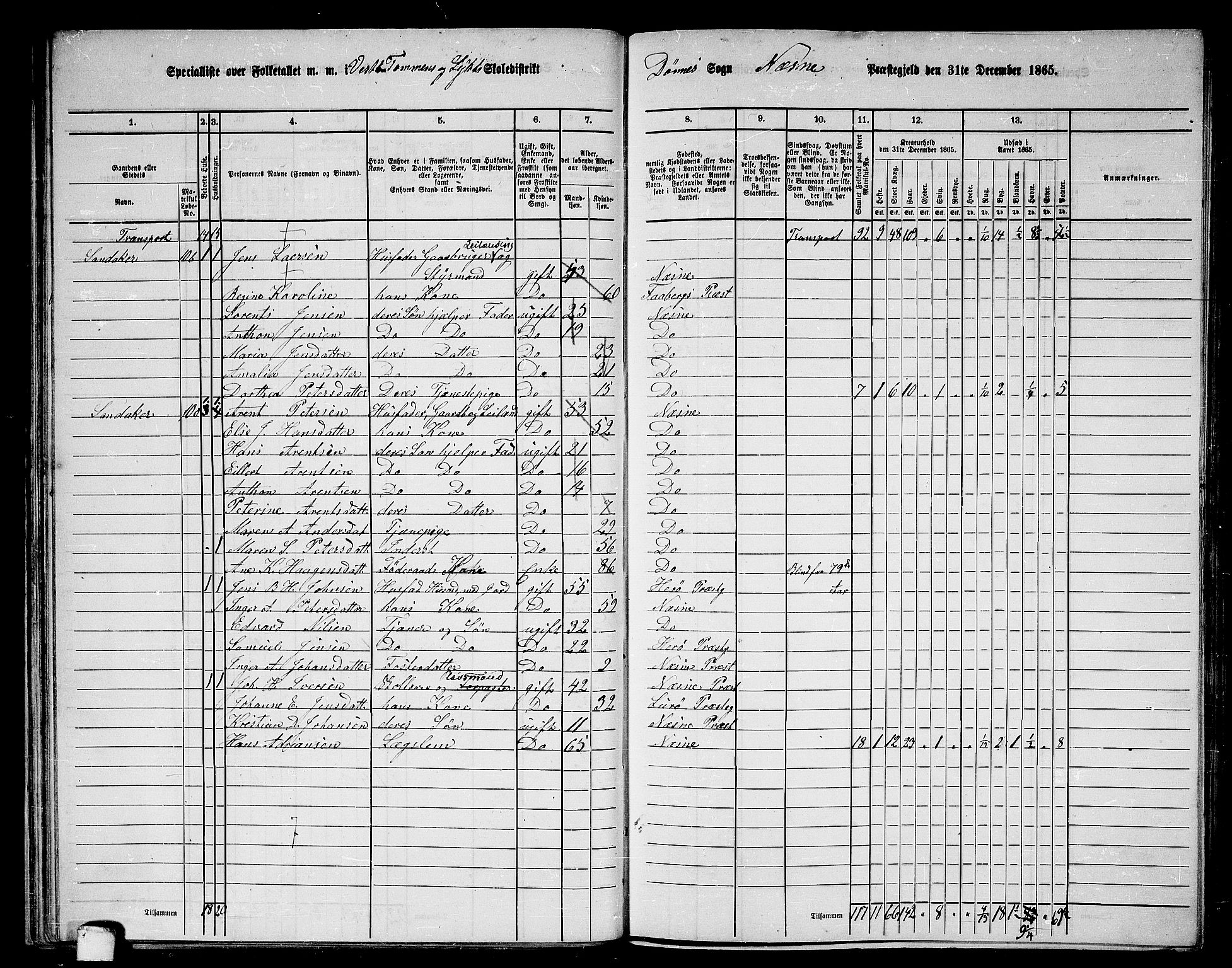 RA, 1865 census for Nesna, 1865, p. 43