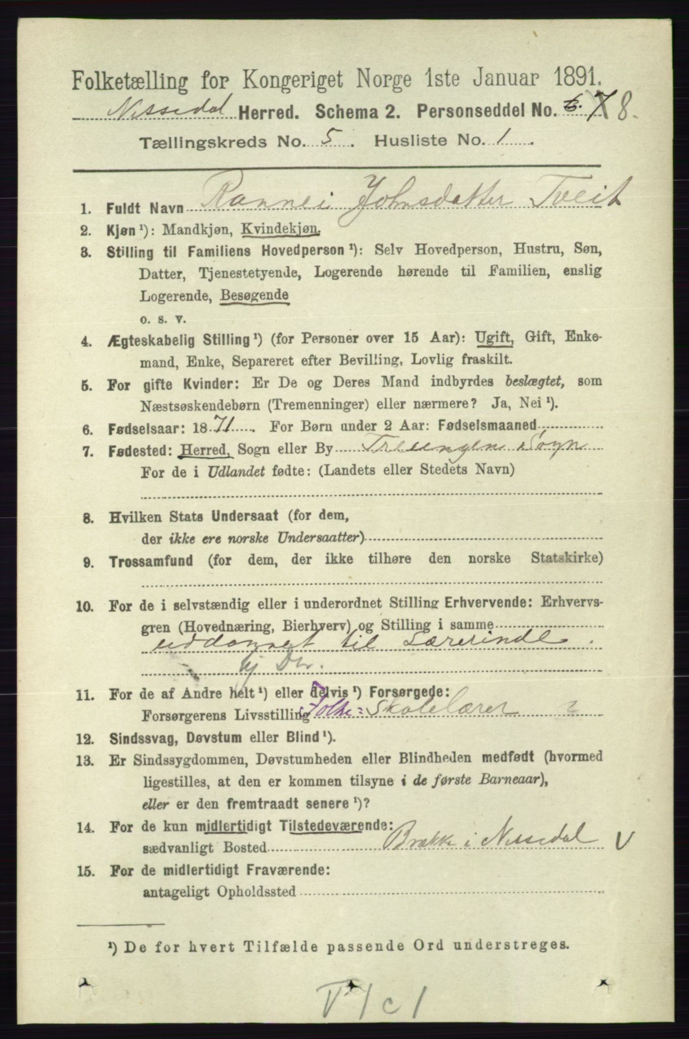 RA, 1891 census for 0830 Nissedal, 1891, p. 1103