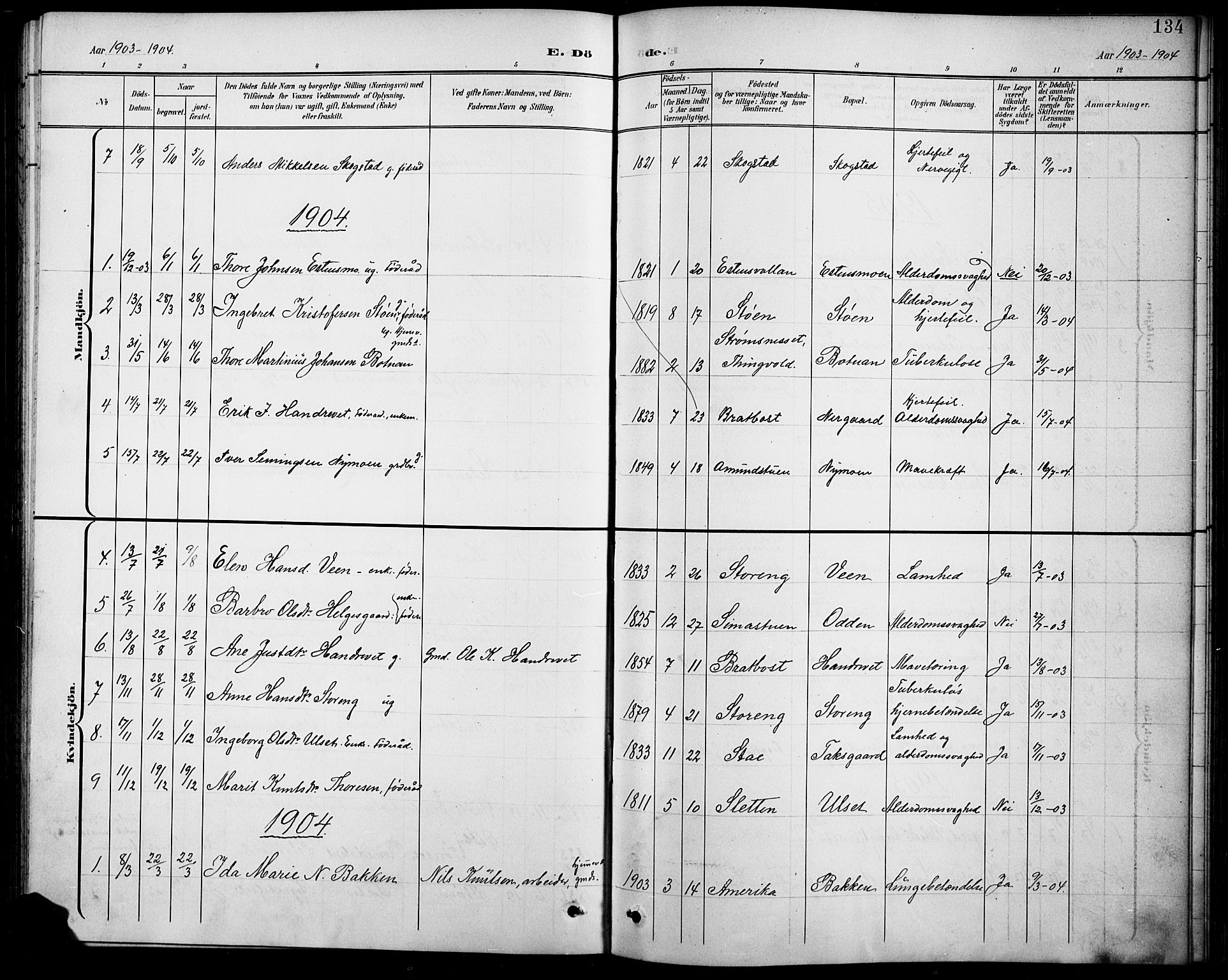 Kvikne prestekontor, SAH/PREST-064/H/Ha/Hab/L0003: Parish register (copy) no. 3, 1896-1918, p. 134
