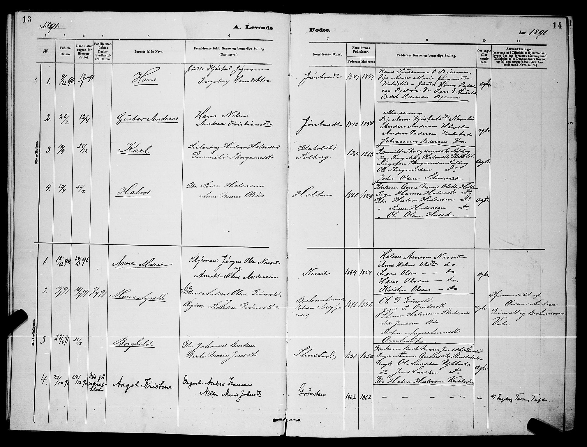 Holla kirkebøker, SAKO/A-272/G/Gb/L0001: Parish register (copy) no. II 1, 1882-1897, p. 14