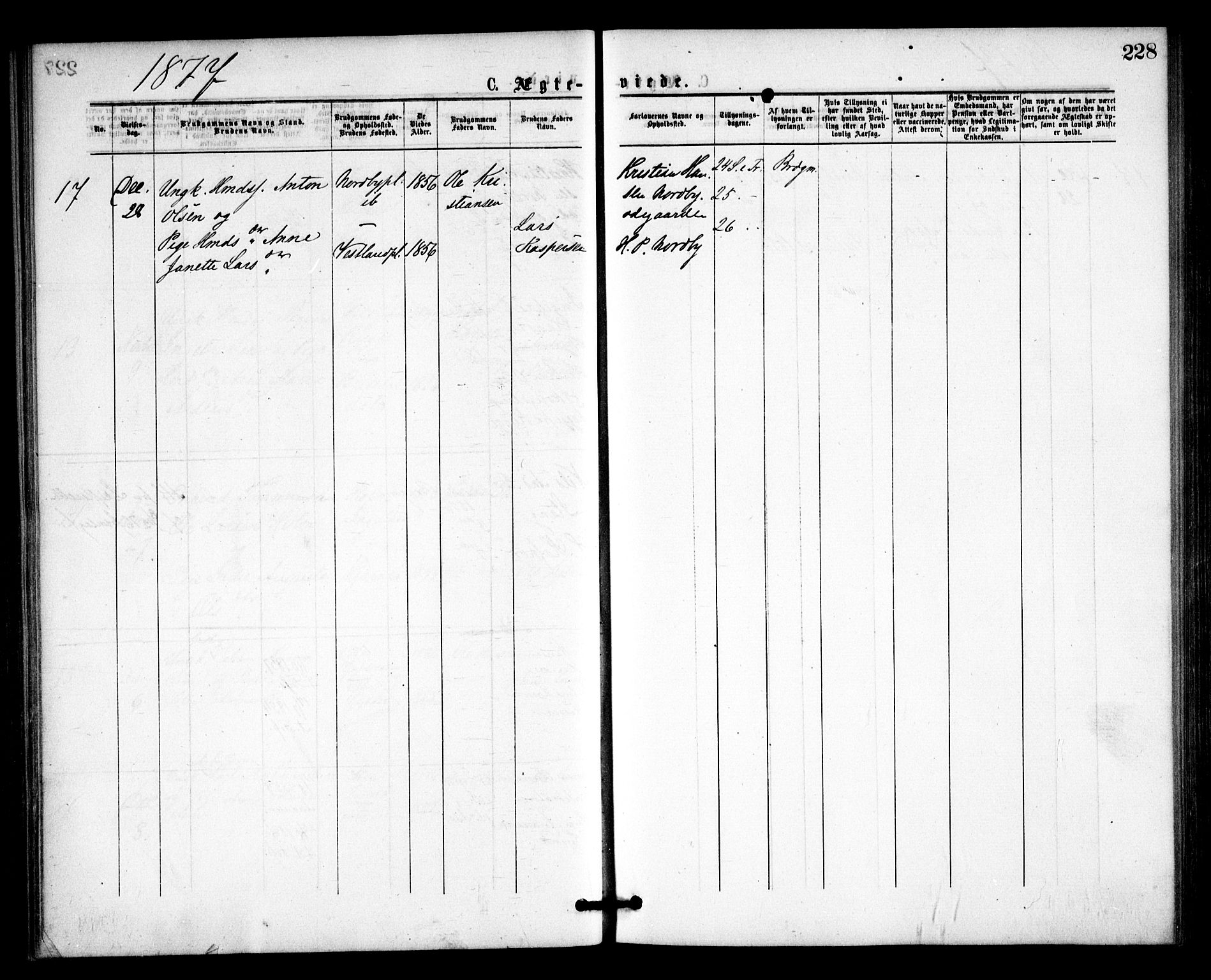 Våler prestekontor Kirkebøker, AV/SAO-A-11083/F/Fa/L0009: Parish register (official) no. I 9, 1873-1877, p. 228