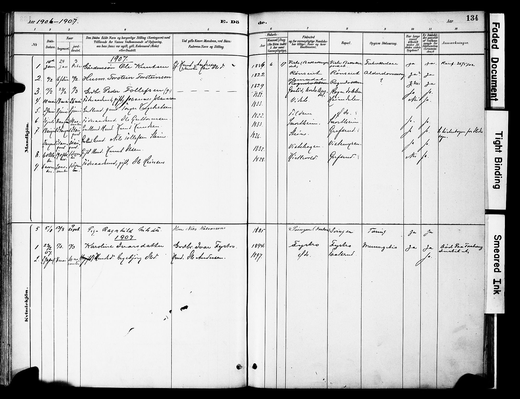 Vestre Slidre prestekontor, AV/SAH-PREST-136/H/Ha/Haa/L0006: Parish register (official) no. 6, 1881-1912, p. 134