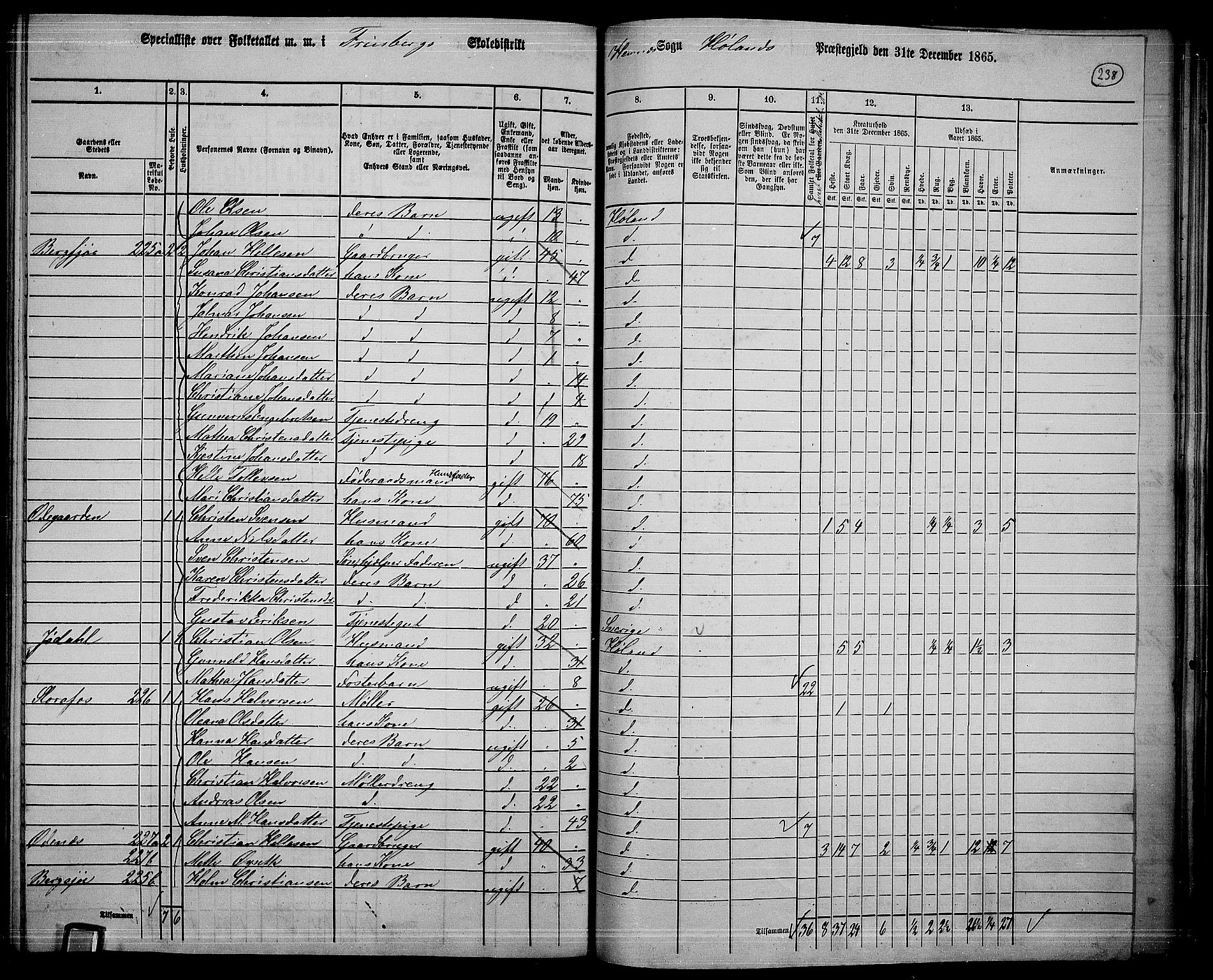 RA, 1865 census for Høland, 1865, p. 219