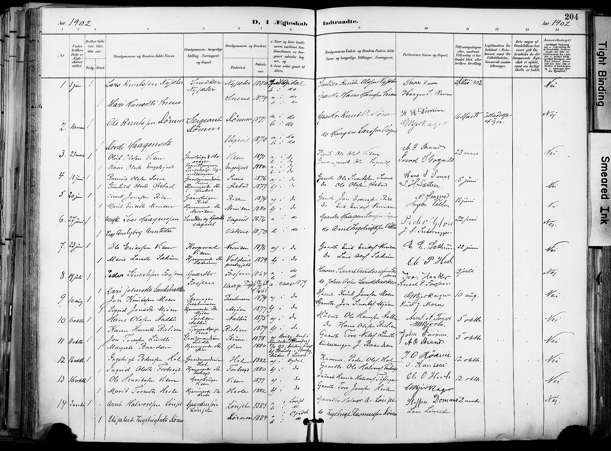 Ministerialprotokoller, klokkerbøker og fødselsregistre - Sør-Trøndelag, AV/SAT-A-1456/678/L0902: Parish register (official) no. 678A11, 1895-1911, p. 204