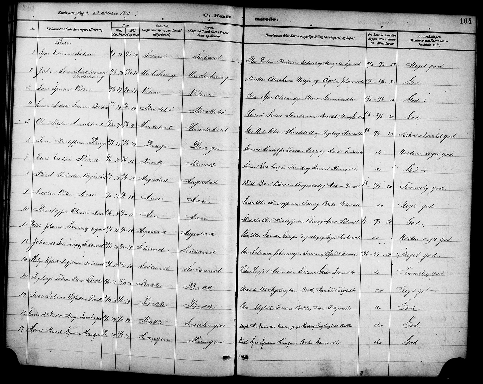 Ullensvang sokneprestembete, AV/SAB-A-78701/H/Hab: Parish register (copy) no. D 1, 1891-1908, p. 104