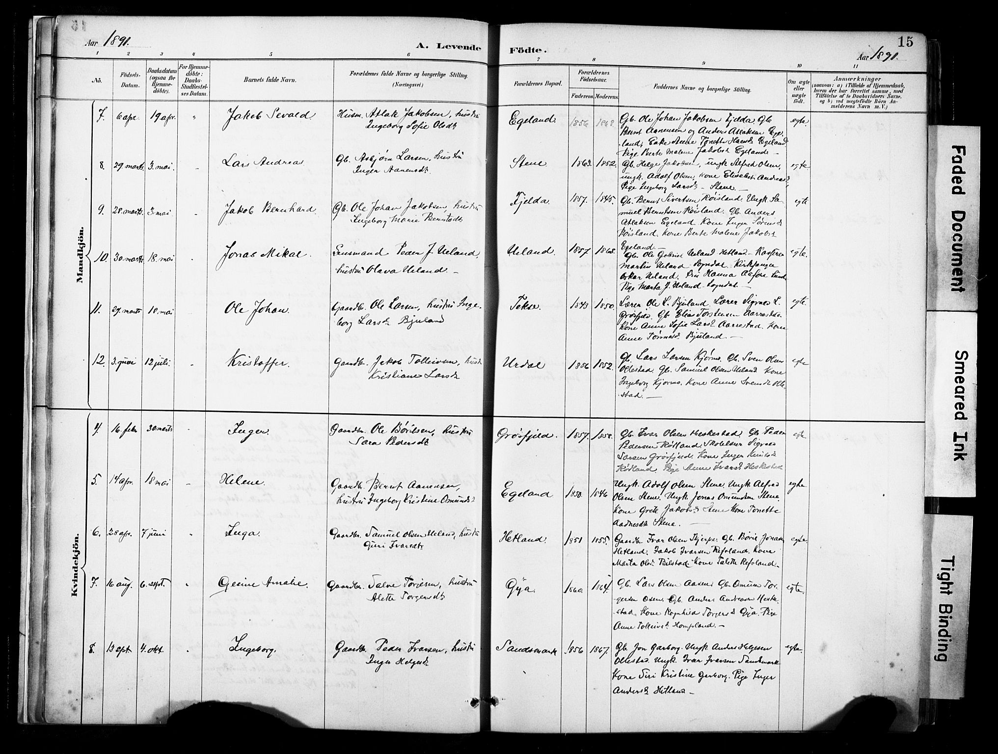 Lund sokneprestkontor, AV/SAST-A-101809/S06/L0012: Parish register (official) no. A 11, 1887-1921, p. 15