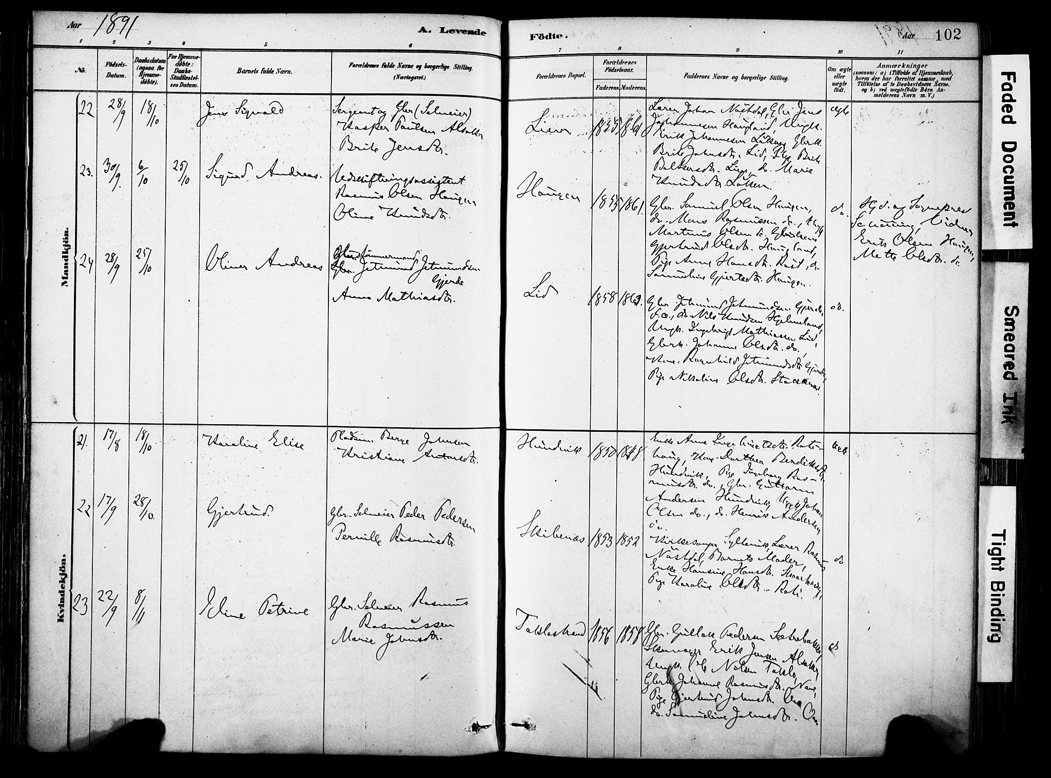 Eid sokneprestembete, AV/SAB-A-82301/H/Haa/Haab/L0001: Parish register (official) no. B 1, 1879-1906, p. 102