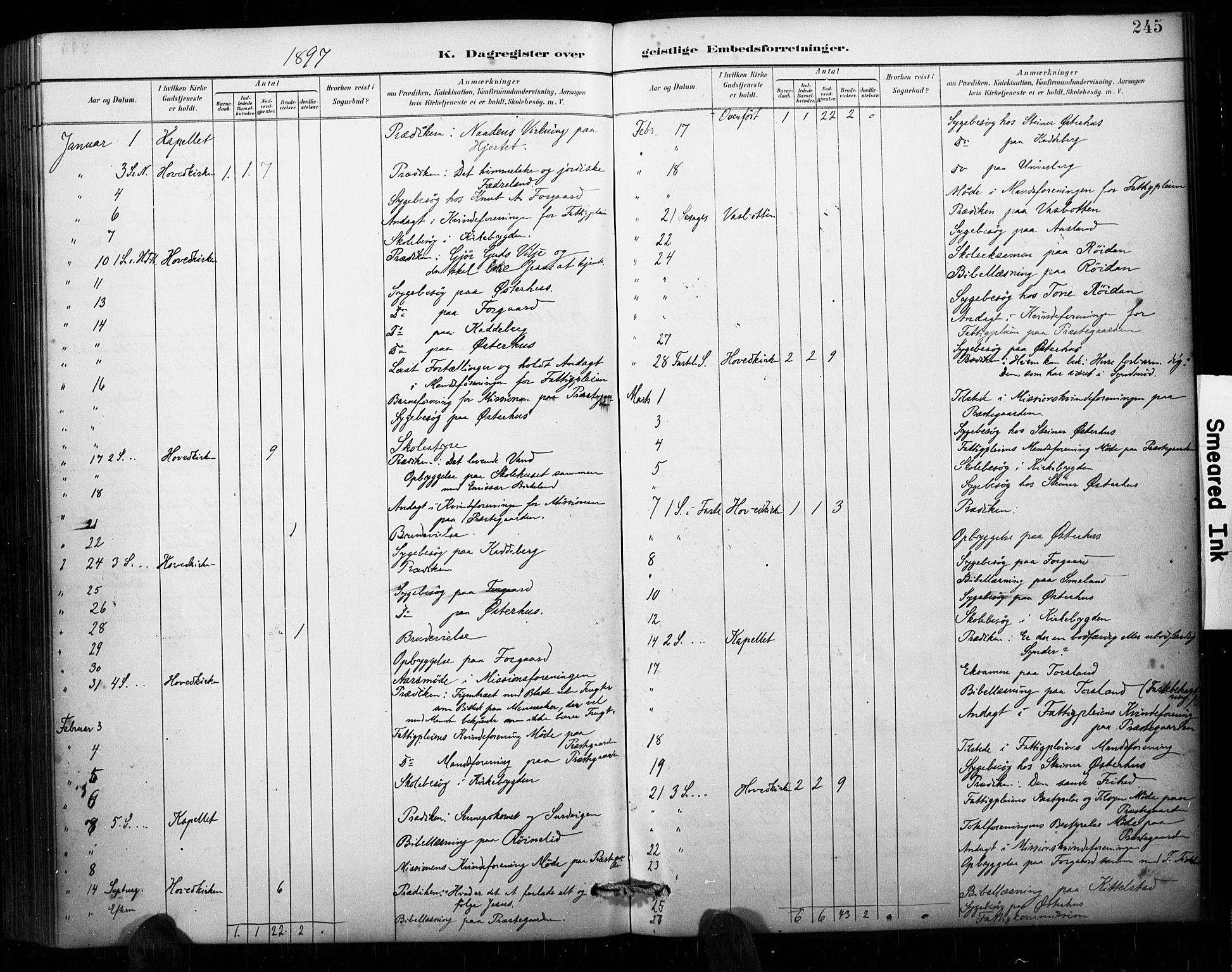 Åseral sokneprestkontor, AV/SAK-1111-0051/F/Fa/L0003: Parish register (official) no. A 3, 1884-1901, p. 245