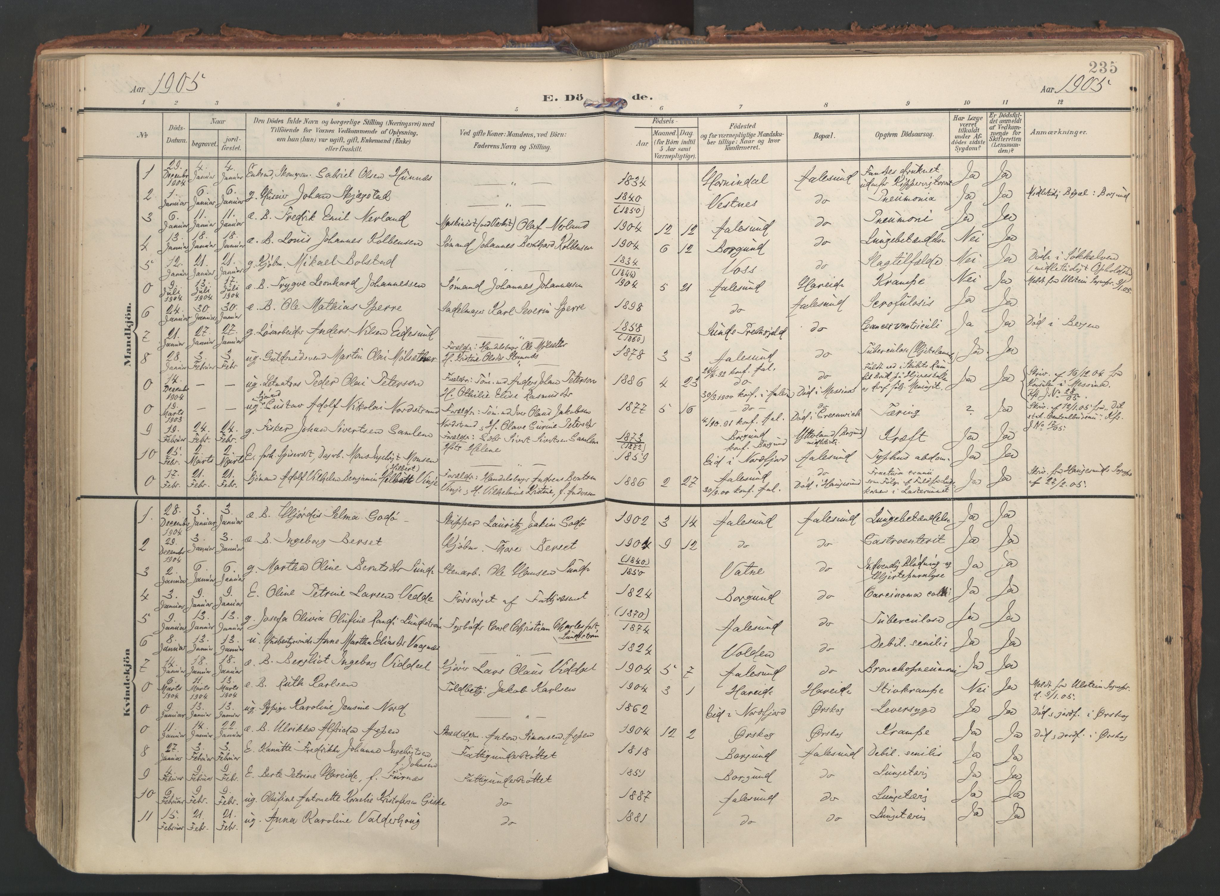Ministerialprotokoller, klokkerbøker og fødselsregistre - Møre og Romsdal, AV/SAT-A-1454/529/L0459: Parish register (official) no. 529A09, 1904-1917, p. 235