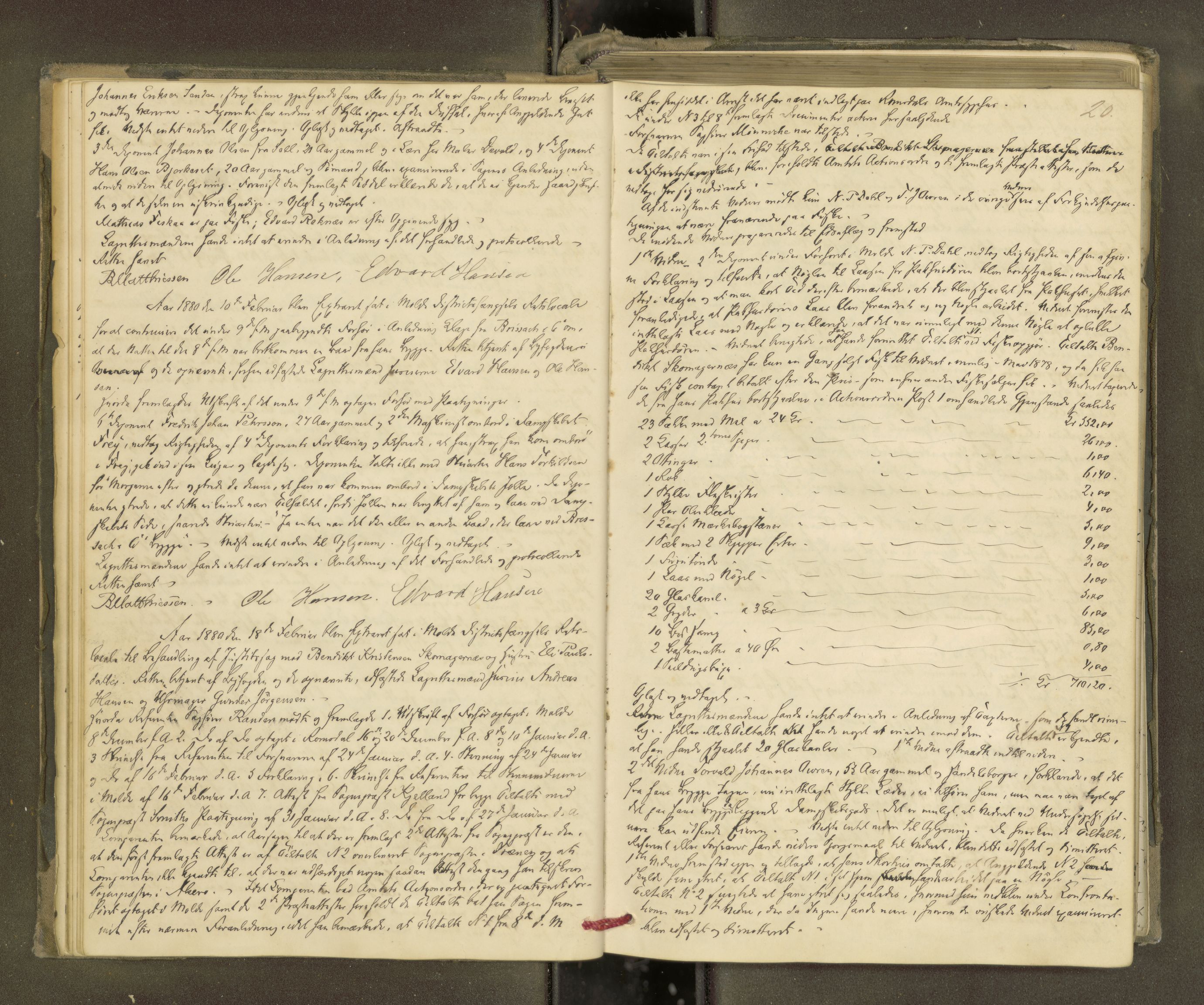 Molde byfogd, AV/SAT-A-0025/1/1A/L0012: Justisprotokoll, 1879-1890, p. 19b-20a