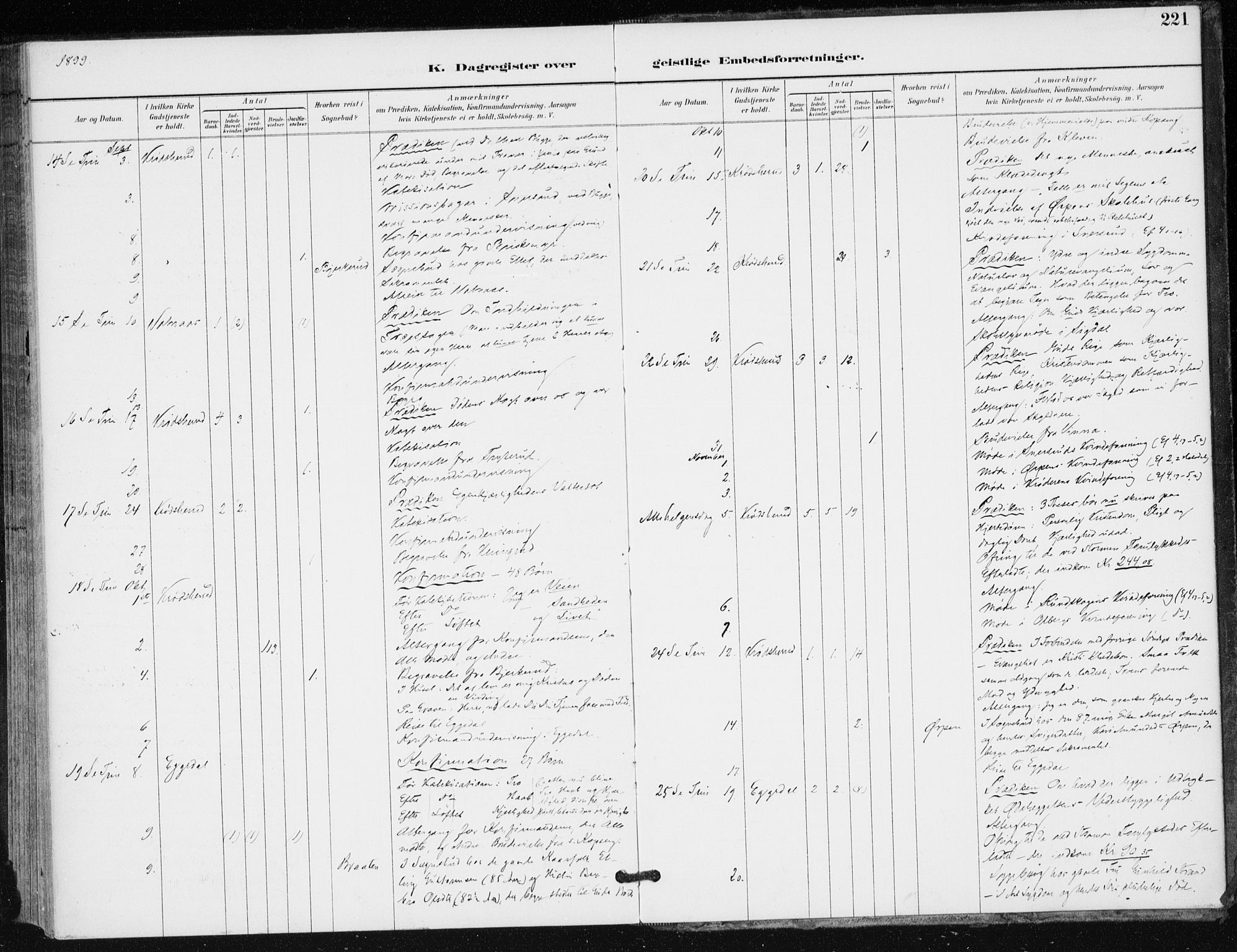 Krødsherad kirkebøker, AV/SAKO-A-19/F/Fa/L0006: Parish register (official) no. 6, 1889-1899, p. 221