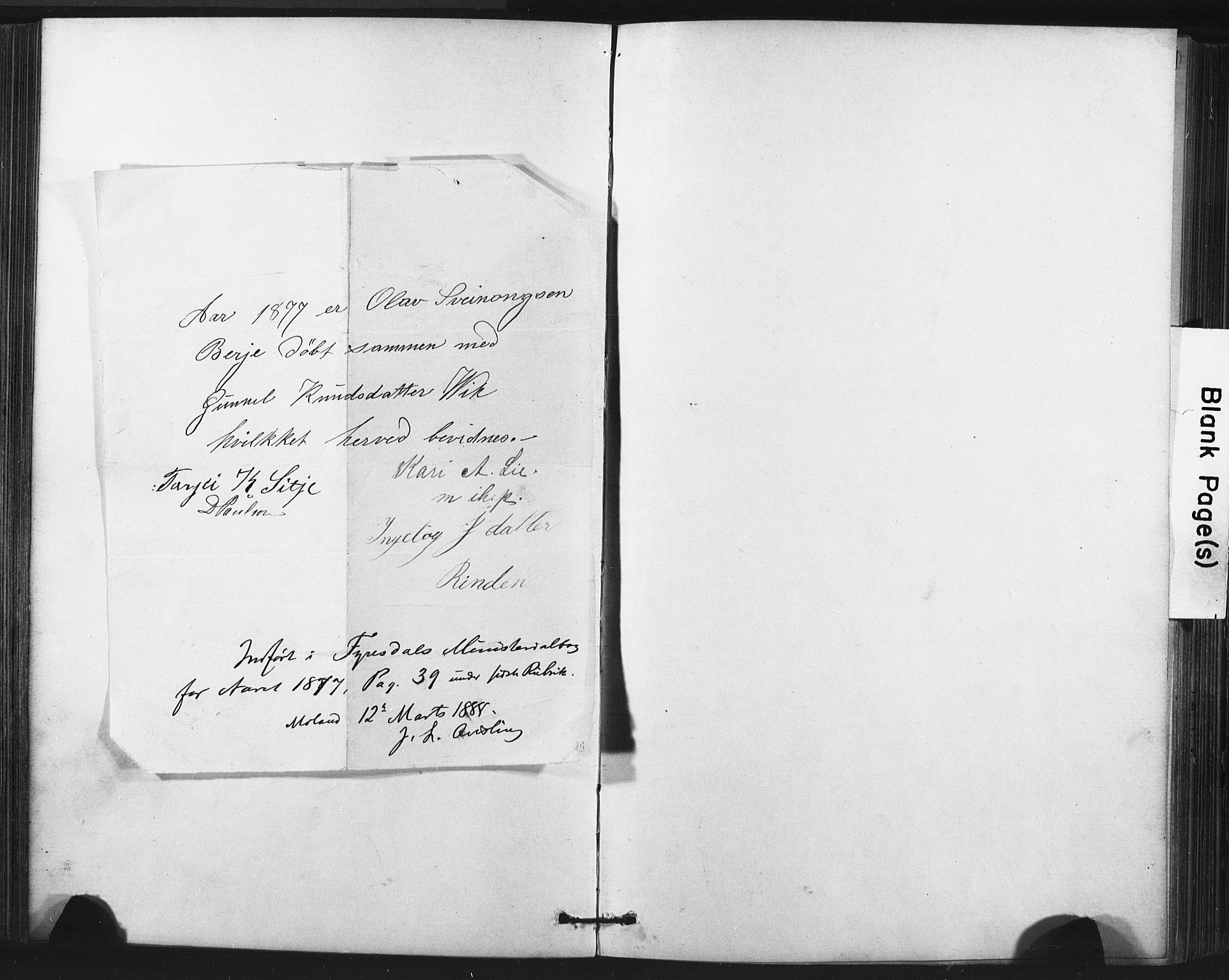 Fyresdal kirkebøker, SAKO/A-263/F/Fa/L0006: Parish register (official) no. I 6, 1872-1886