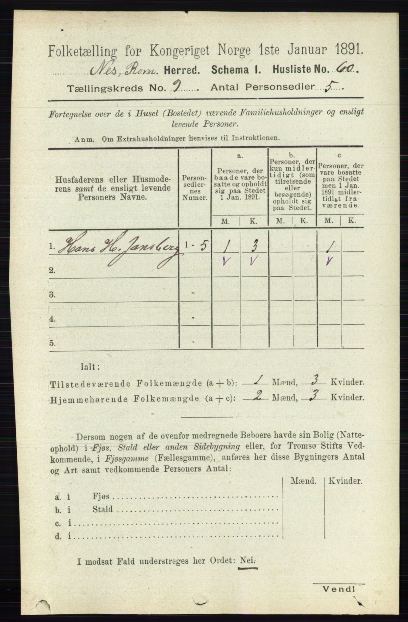 RA, 1891 census for 0236 Nes, 1891, p. 5246