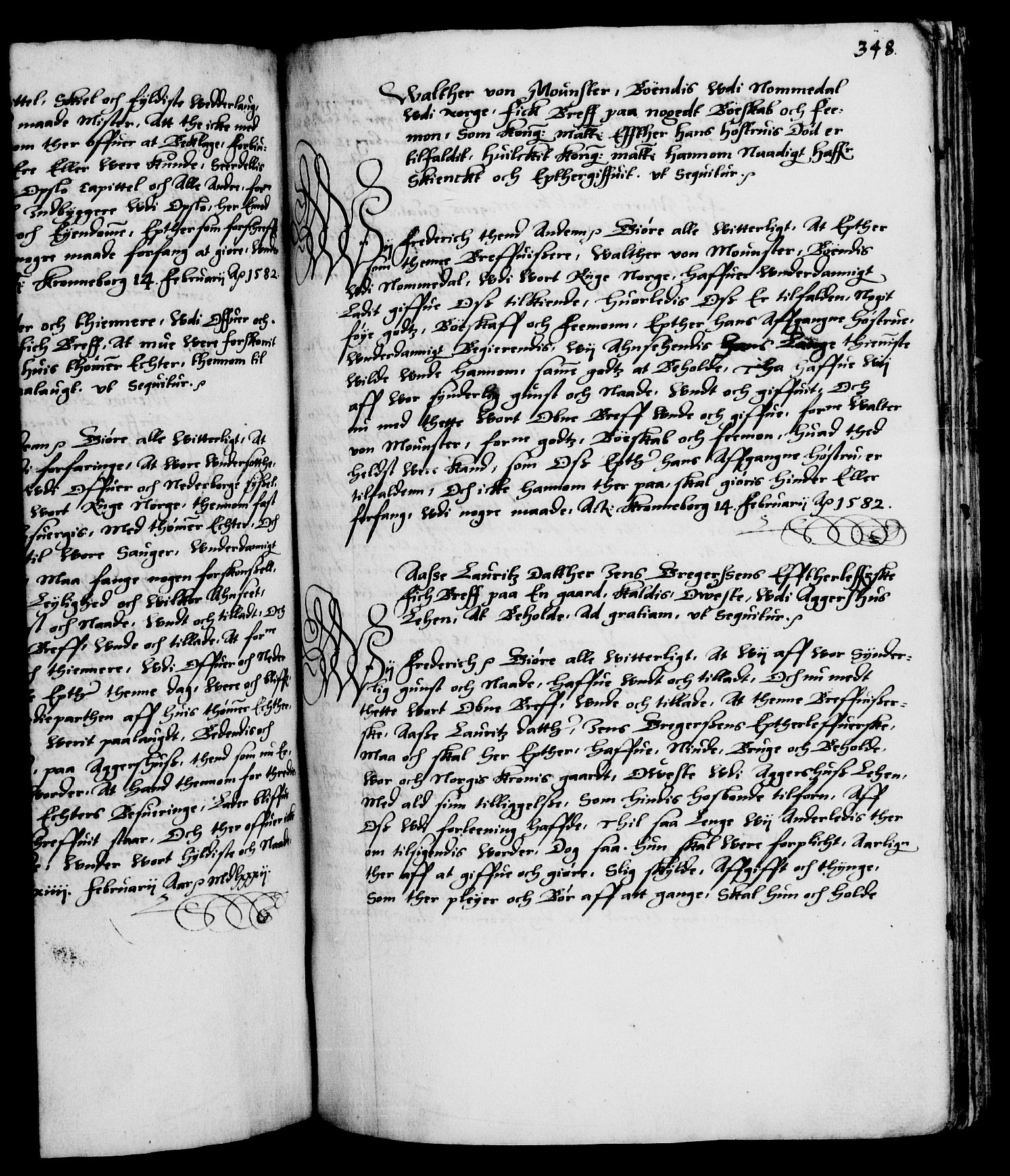 Danske Kanselli 1572-1799, RA/EA-3023/F/Fc/Fca/Fcaa/L0001: Norske registre (mikrofilm), 1572-1588, p. 348a