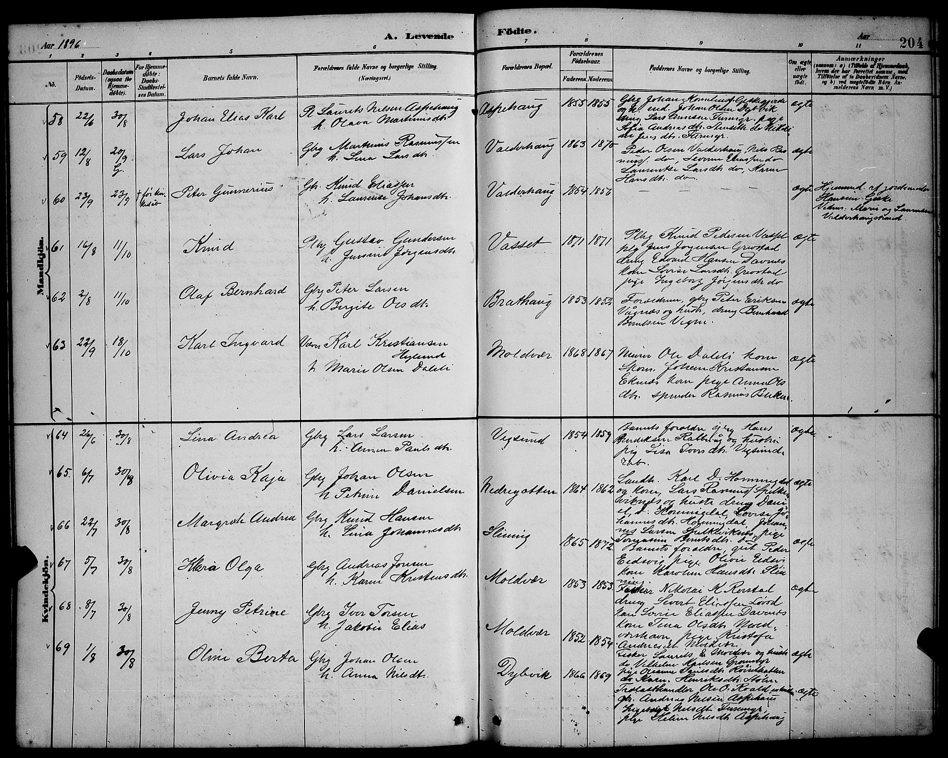 Ministerialprotokoller, klokkerbøker og fødselsregistre - Møre og Romsdal, AV/SAT-A-1454/528/L0431: Parish register (copy) no. 528C12, 1885-1898, p. 204