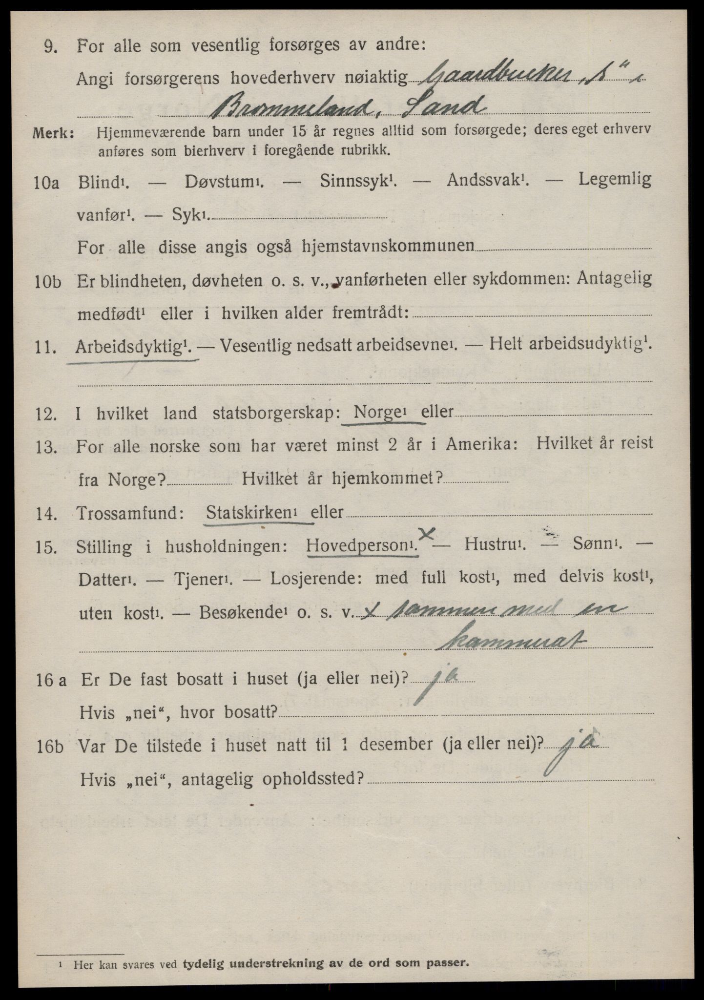 SAT, 1920 census for Volda, 1920, p. 6293