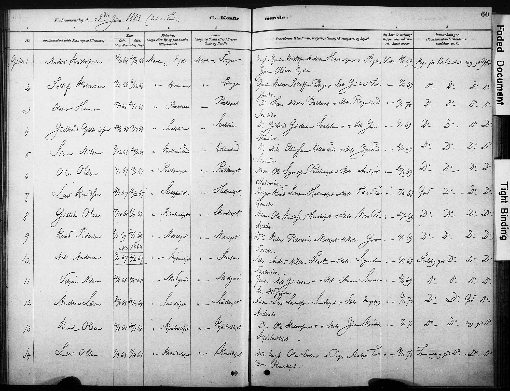 Nore kirkebøker, AV/SAKO-A-238/F/Fb/L0001: Parish register (official) no. II 1, 1878-1886, p. 60