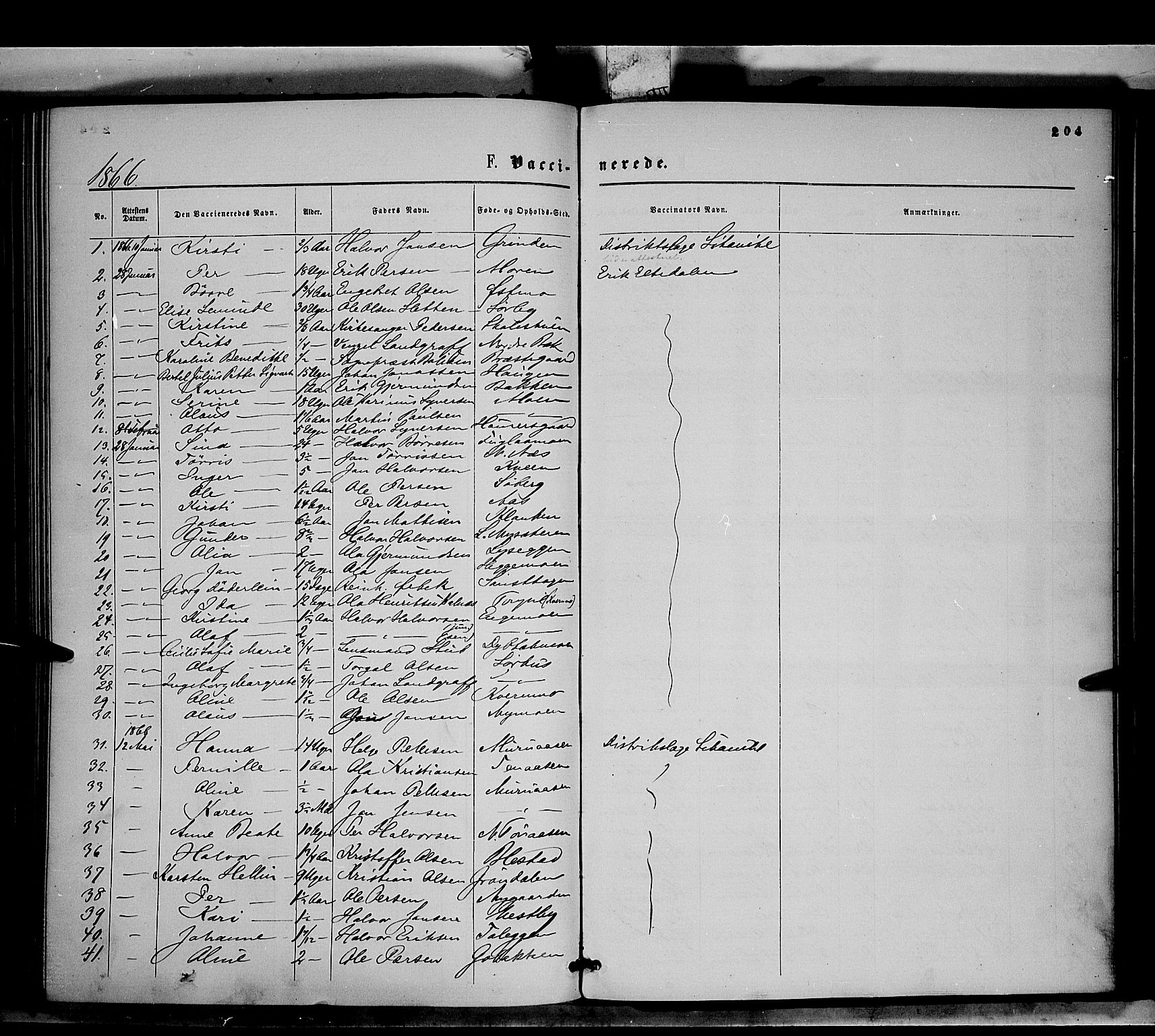 Trysil prestekontor, SAH/PREST-046/H/Ha/Haa/L0006: Parish register (official) no. 6, 1866-1873, p. 204