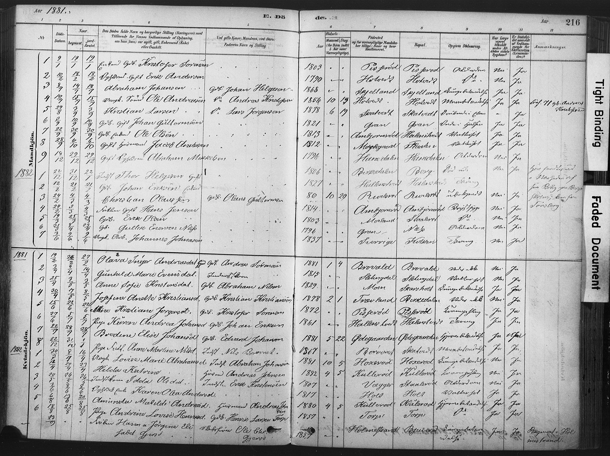 Andebu kirkebøker, AV/SAKO-A-336/F/Fa/L0007: Parish register (official) no. 7, 1878-1899, p. 216