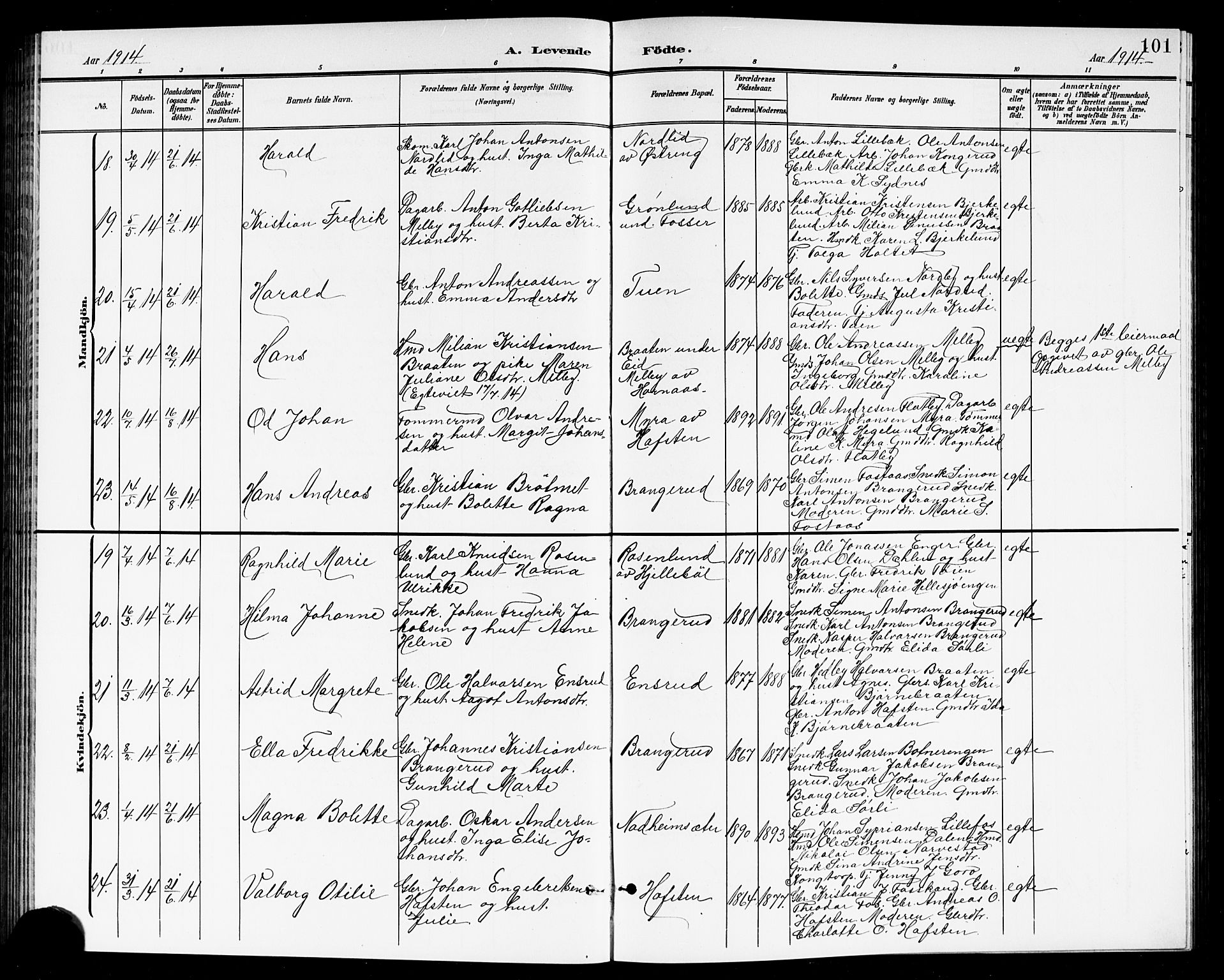 Høland prestekontor Kirkebøker, AV/SAO-A-10346a/G/Ga/L0007: Parish register (copy) no. I 7, 1902-1914, p. 101