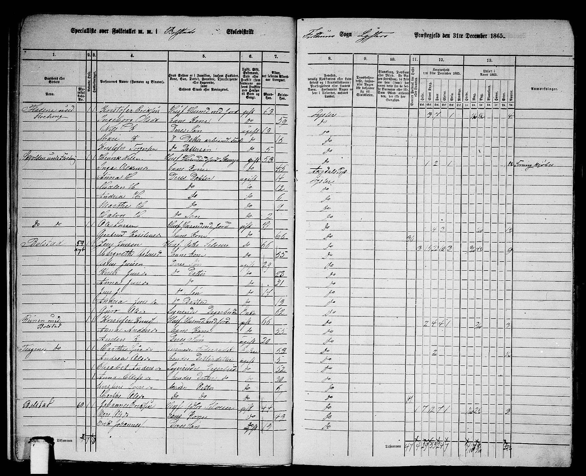 RA, 1865 census for Luster, 1865, p. 11