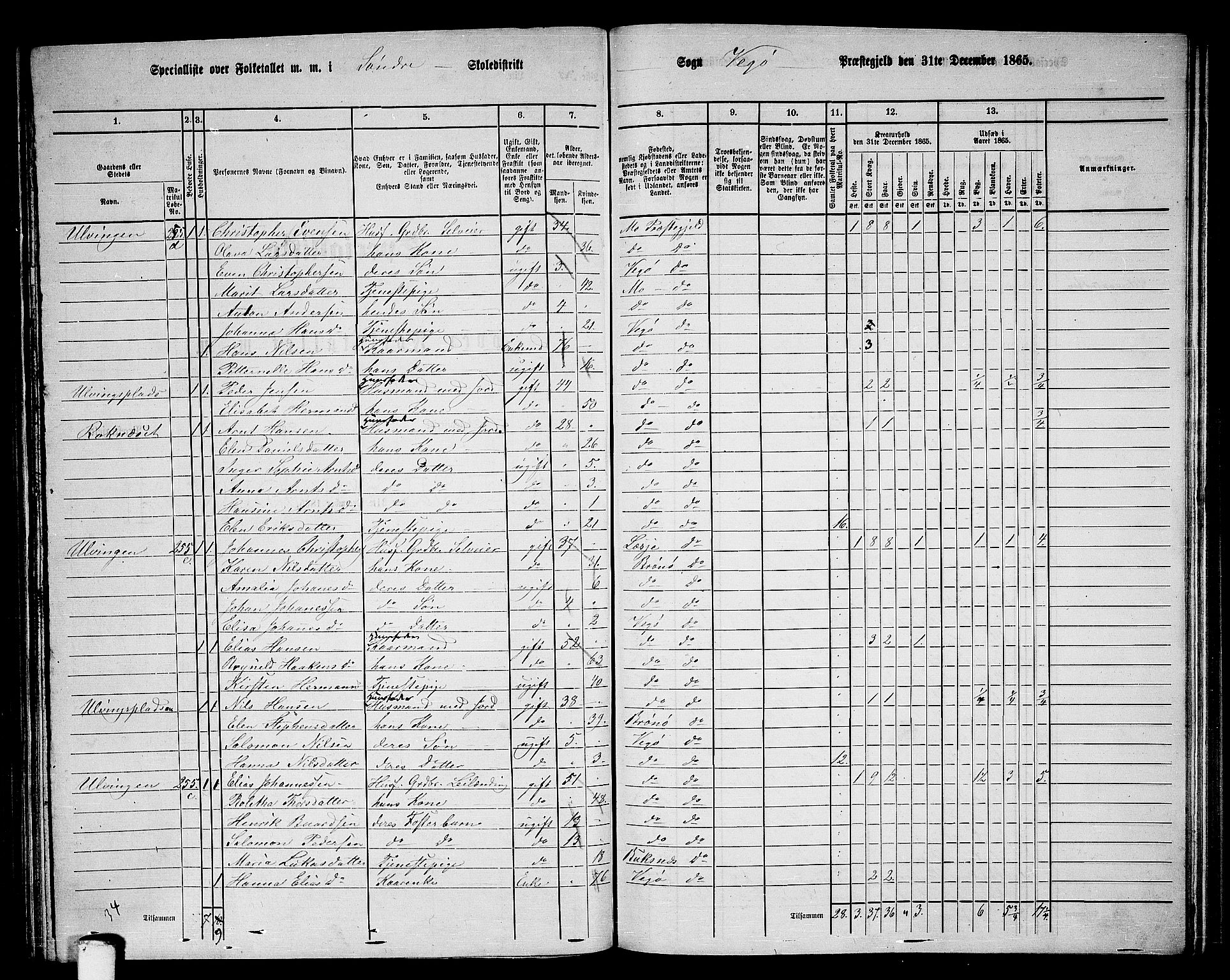 RA, 1865 census for Vega, 1865, p. 32