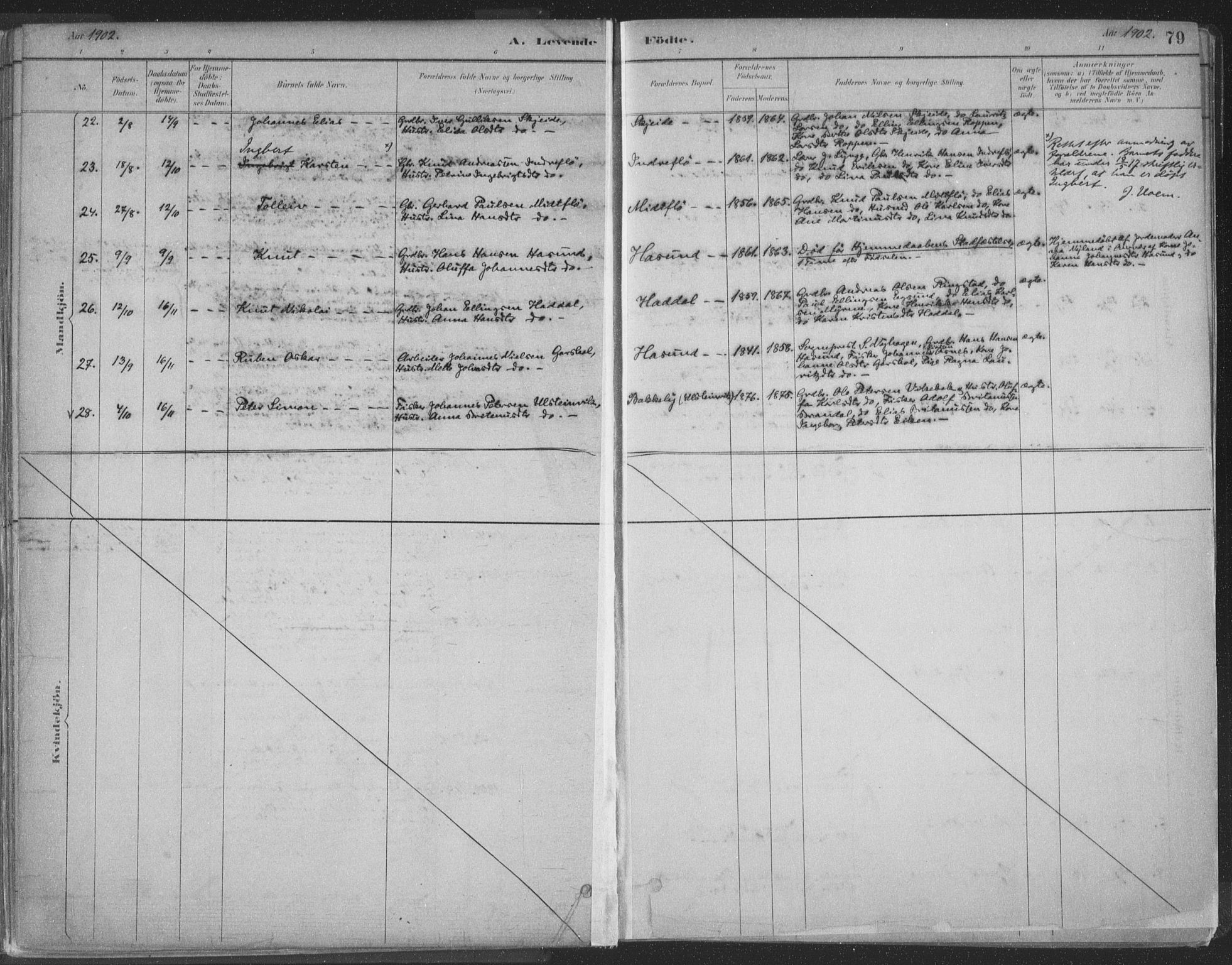 Ministerialprotokoller, klokkerbøker og fødselsregistre - Møre og Romsdal, SAT/A-1454/509/L0106: Parish register (official) no. 509A04, 1883-1922, p. 79