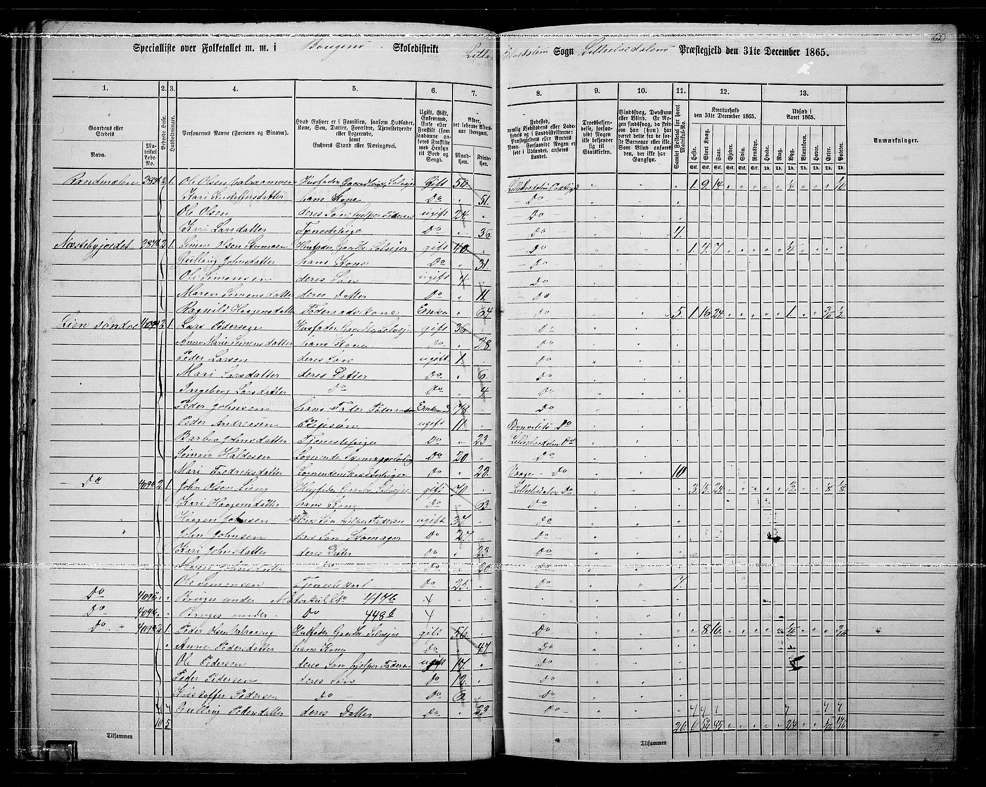 RA, 1865 census for Lille Elvedalen, 1865, p. 56