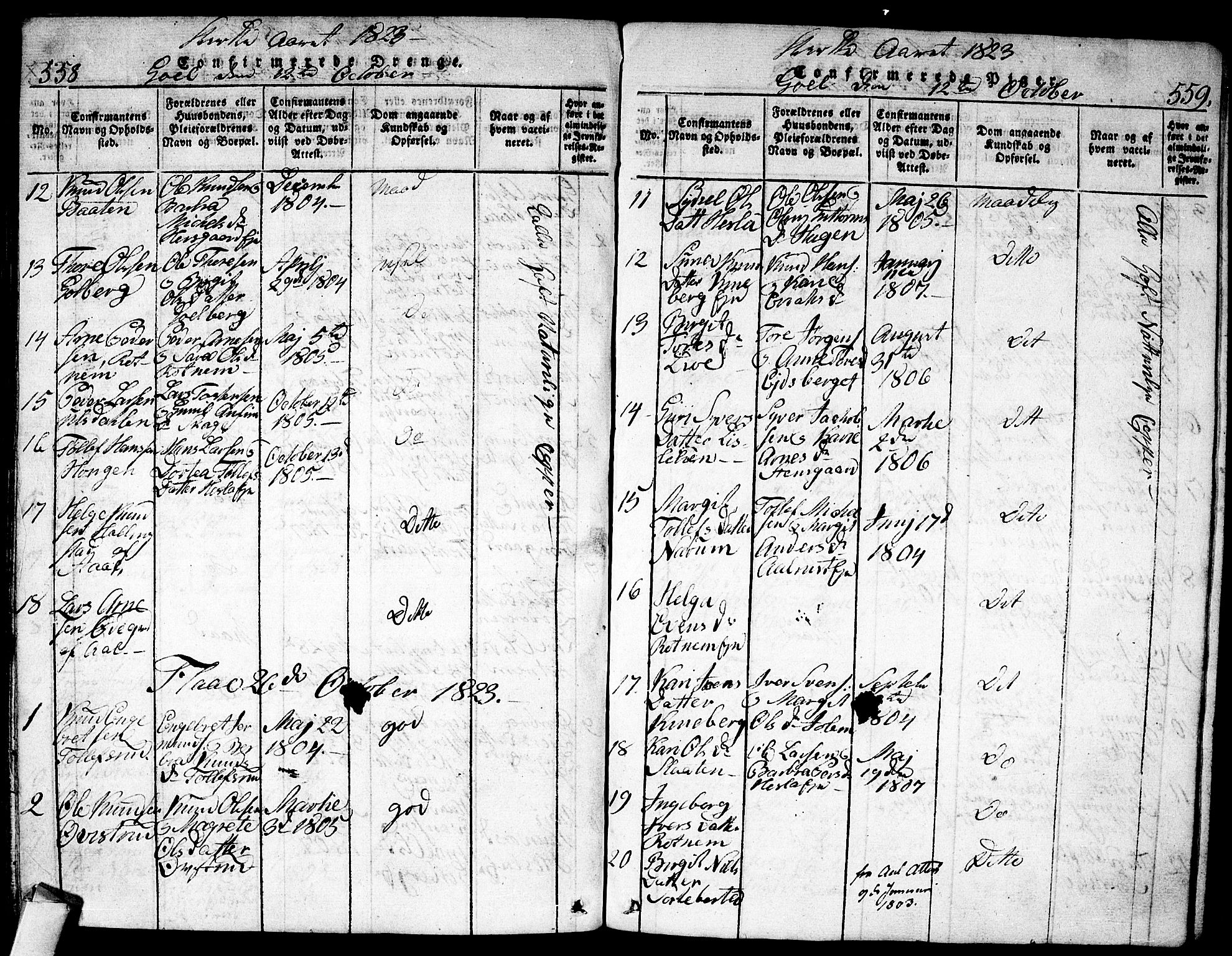Nes kirkebøker, AV/SAKO-A-236/F/Fa/L0007: Parish register (official) no. 7, 1815-1823, p. 558-559