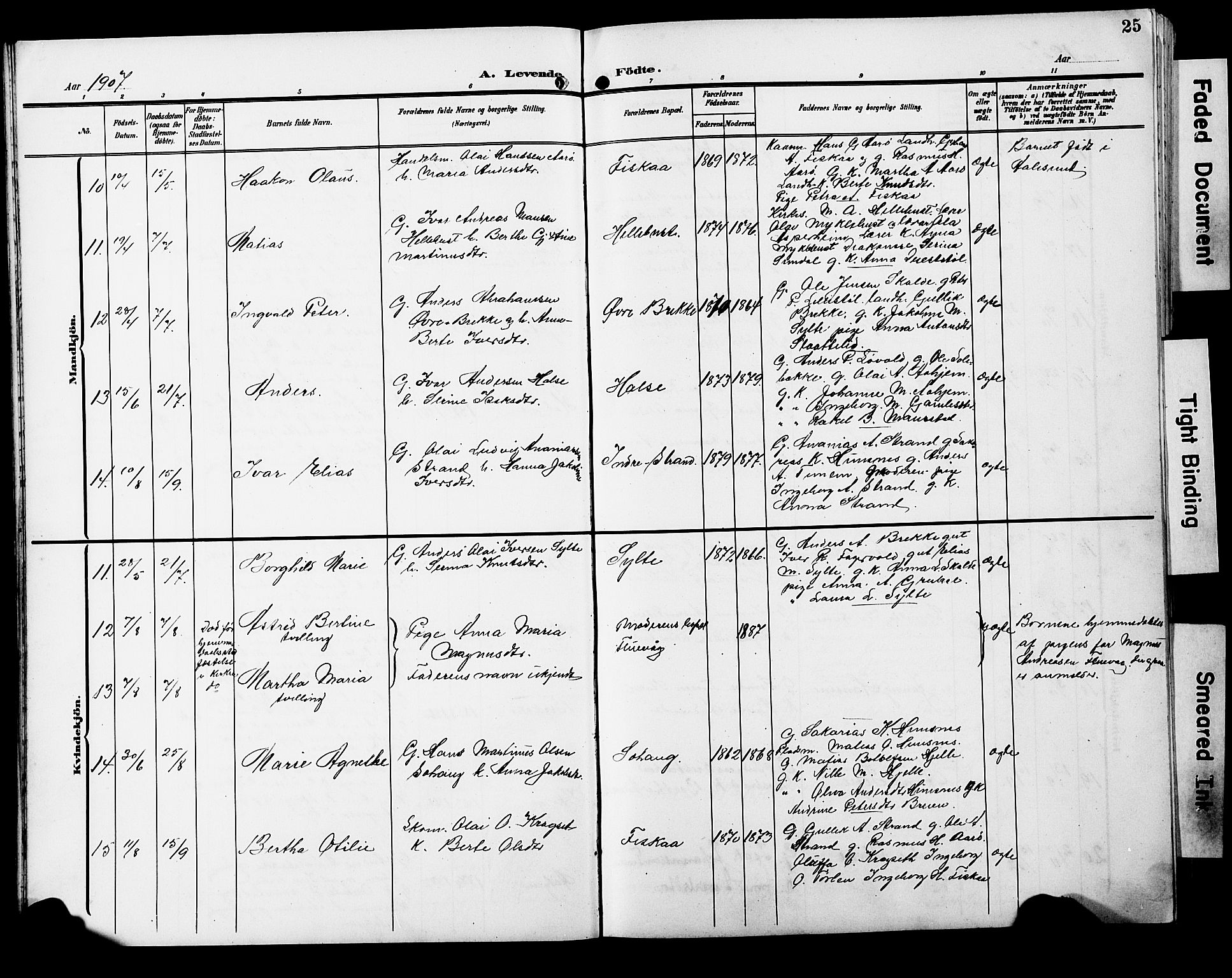 Ministerialprotokoller, klokkerbøker og fødselsregistre - Møre og Romsdal, AV/SAT-A-1454/501/L0018: Parish register (copy) no. 501C04, 1902-1930, p. 25