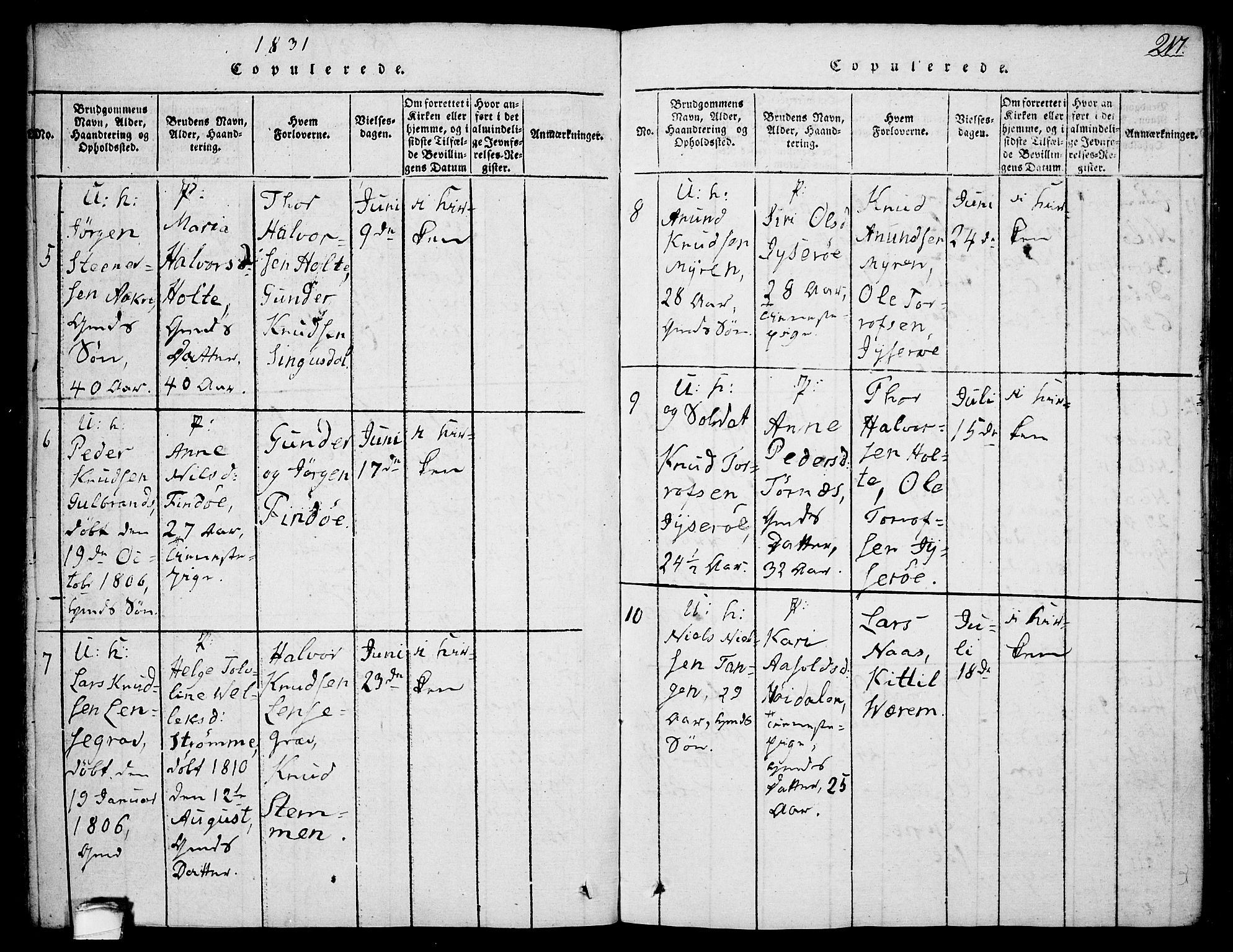 Drangedal kirkebøker, SAKO/A-258/F/Fa/L0005: Parish register (official) no. 5 /1, 1814-1831, p. 217