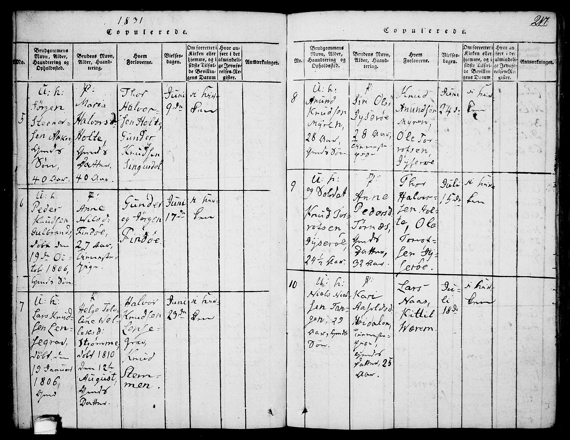 Drangedal kirkebøker, AV/SAKO-A-258/F/Fa/L0005: Parish register (official) no. 5 /1, 1814-1831, p. 217