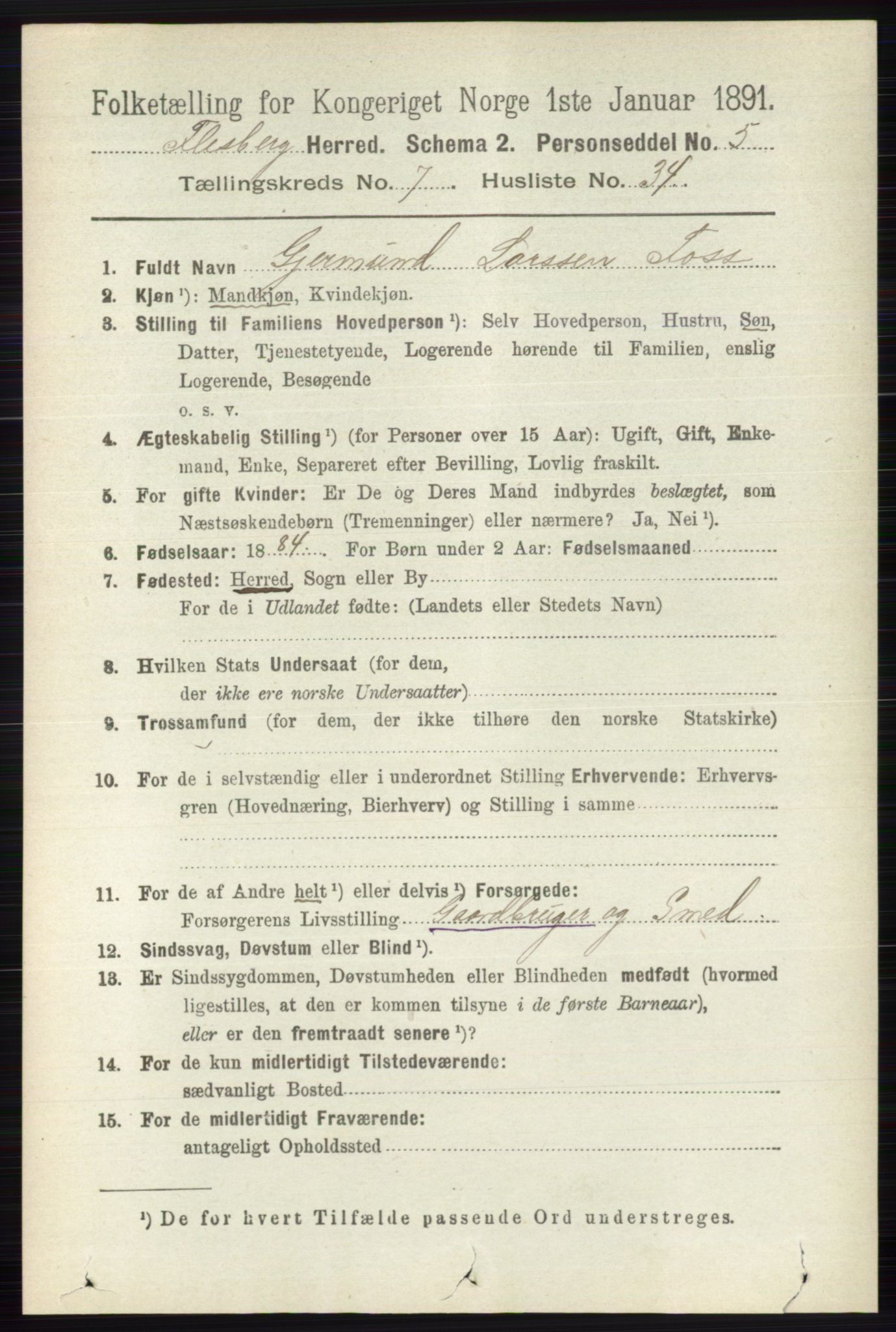 RA, 1891 census for 0631 Flesberg, 1891, p. 1321