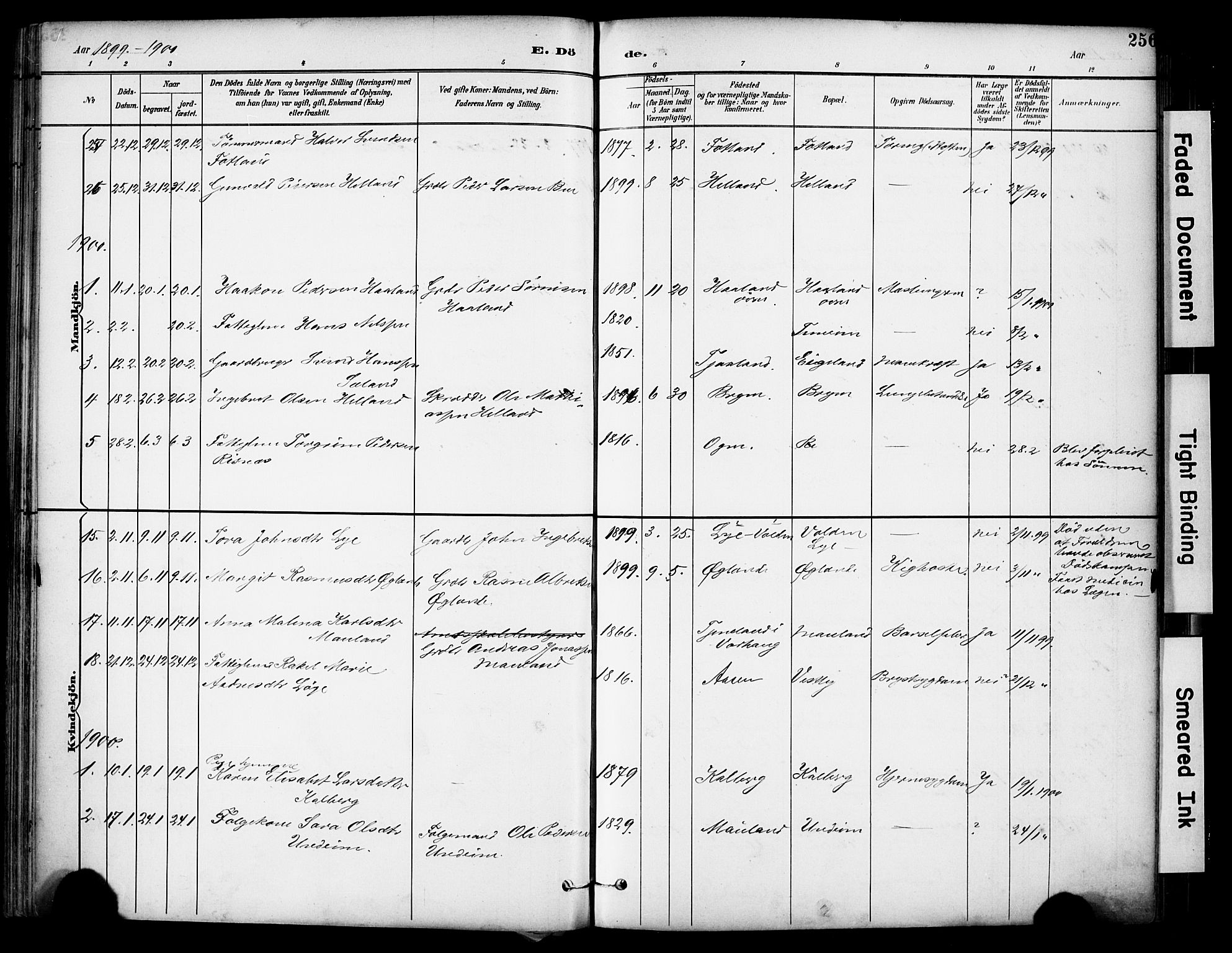Lye sokneprestkontor, SAST/A-101794/001/30BA/L0011: Parish register (official) no. A 9, 1893-1903, p. 256