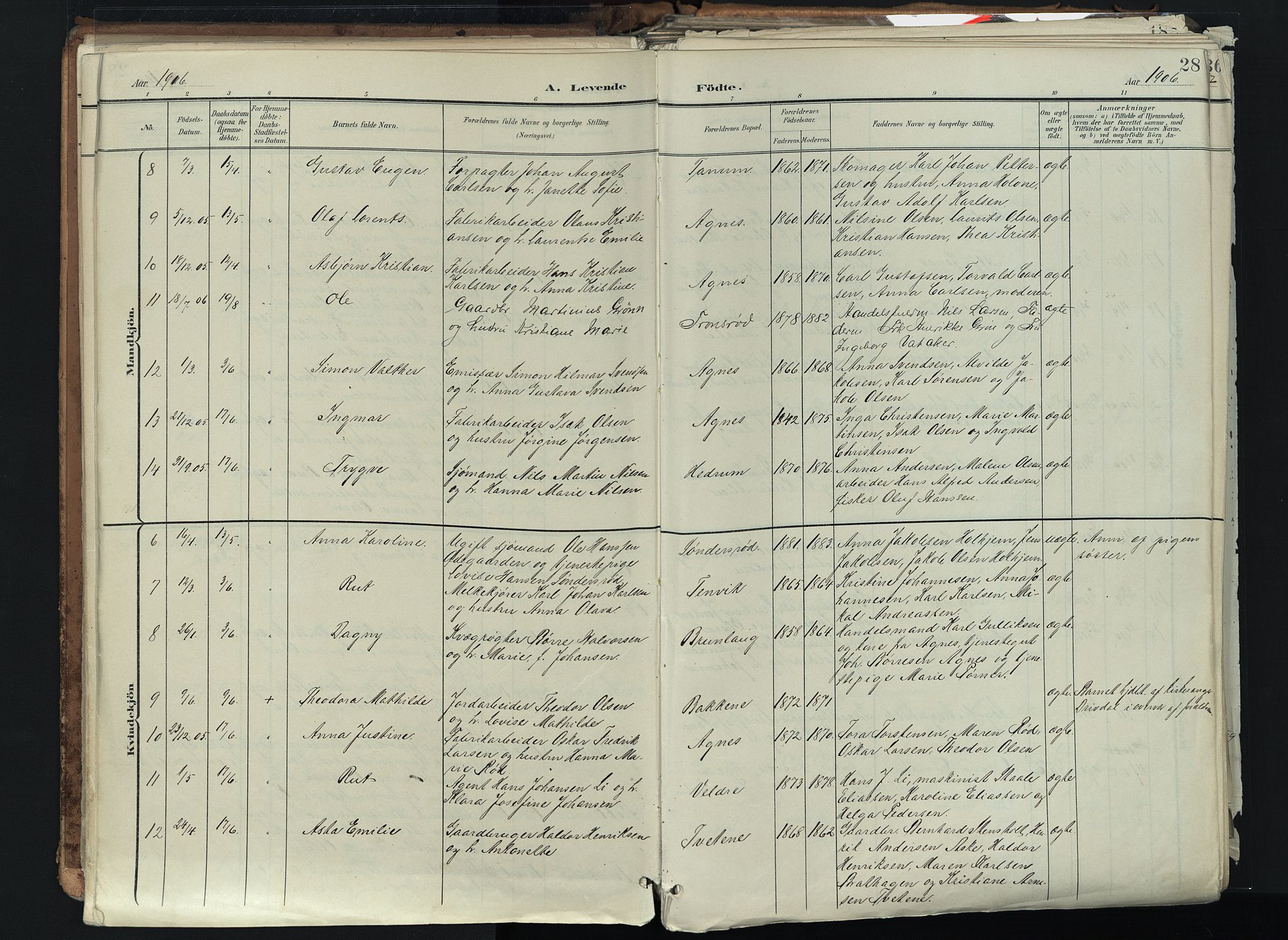 Brunlanes kirkebøker, SAKO/A-342/F/Fc/L0003: Parish register (official) no. III 3, 1900-1922, p. 28