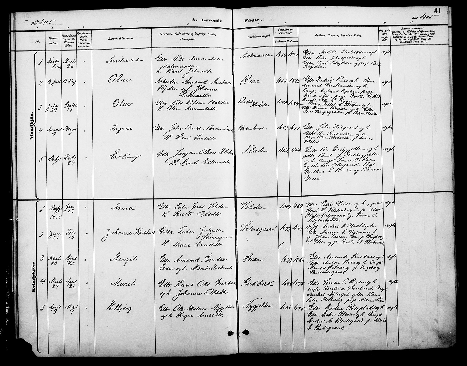 Tolga prestekontor, AV/SAH-PREST-062/L/L0009: Parish register (copy) no. 9, 1892-1919, p. 31