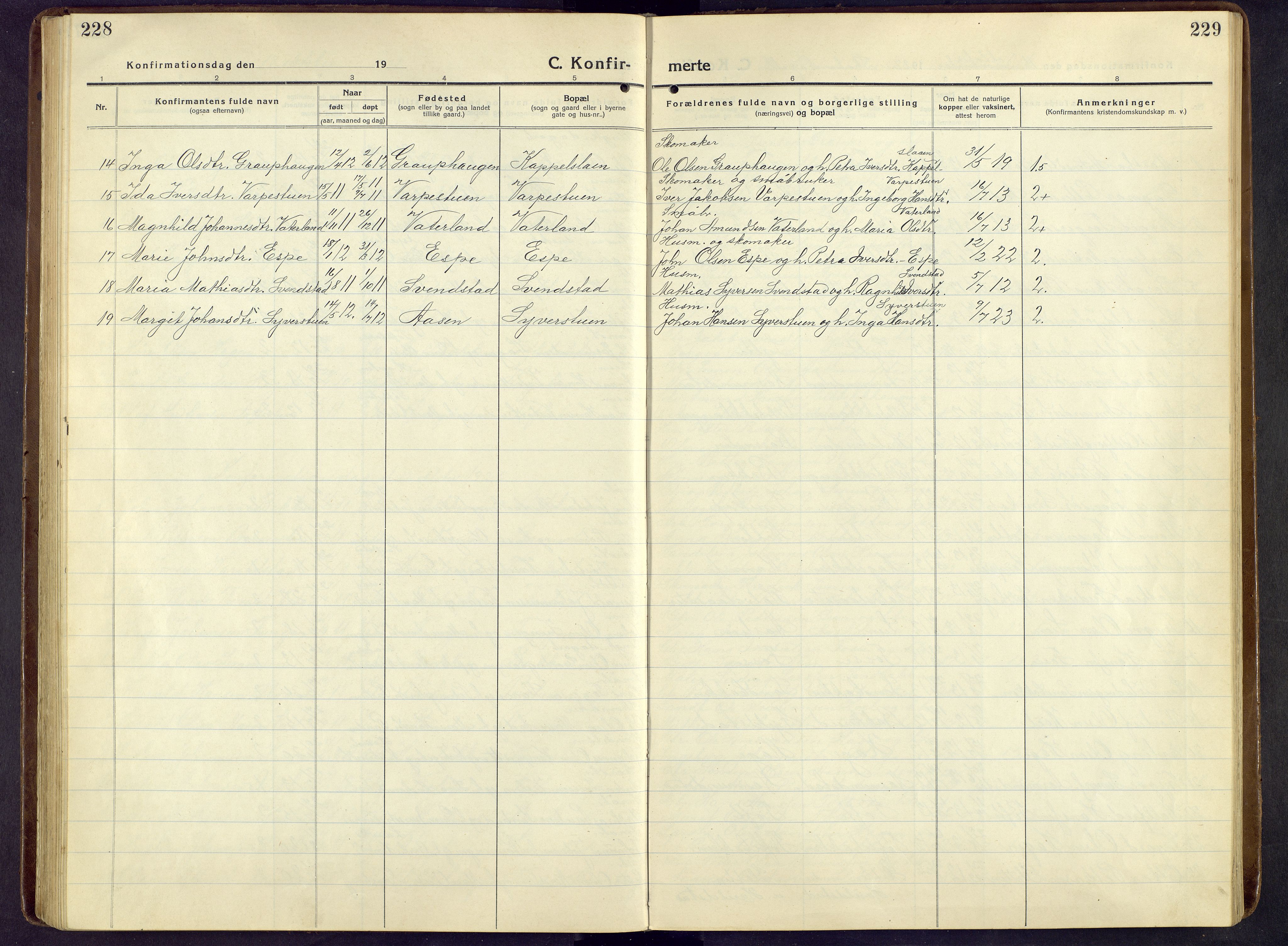 Nord-Fron prestekontor, AV/SAH-PREST-080/H/Ha/Hab/L0009: Parish register (copy) no. 9, 1915-1958, p. 228-229