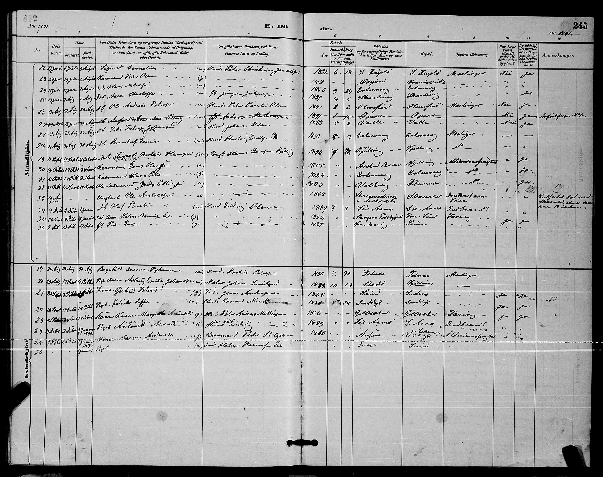 Ministerialprotokoller, klokkerbøker og fødselsregistre - Nordland, AV/SAT-A-1459/805/L0108: Parish register (copy) no. 805C04, 1885-1899, p. 245