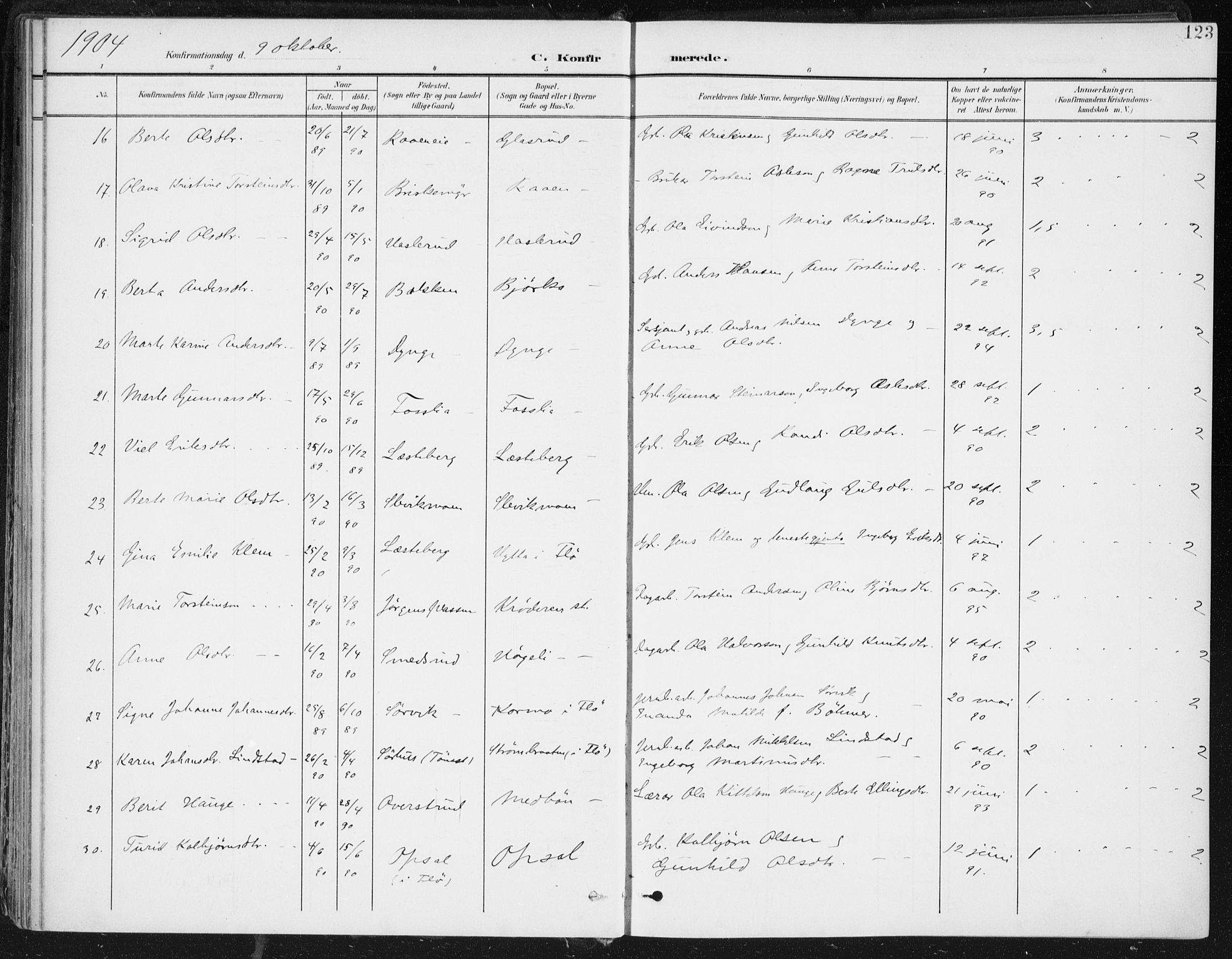 Krødsherad kirkebøker, AV/SAKO-A-19/F/Fa/L0007: Parish register (official) no. 7, 1900-1915, p. 123