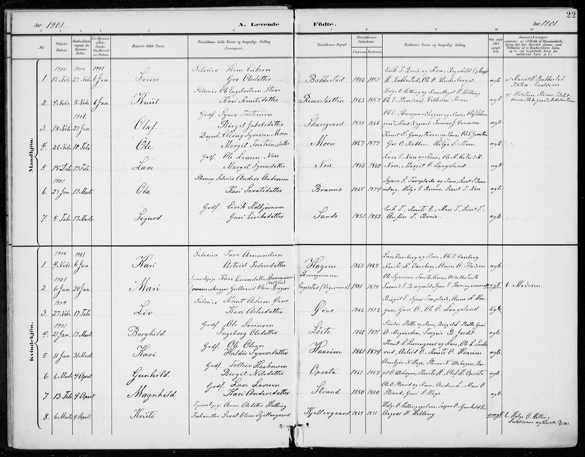 Ål kirkebøker, AV/SAKO-A-249/F/Fa/L0009: Parish register (official) no. I 9, 1897-1915, p. 22