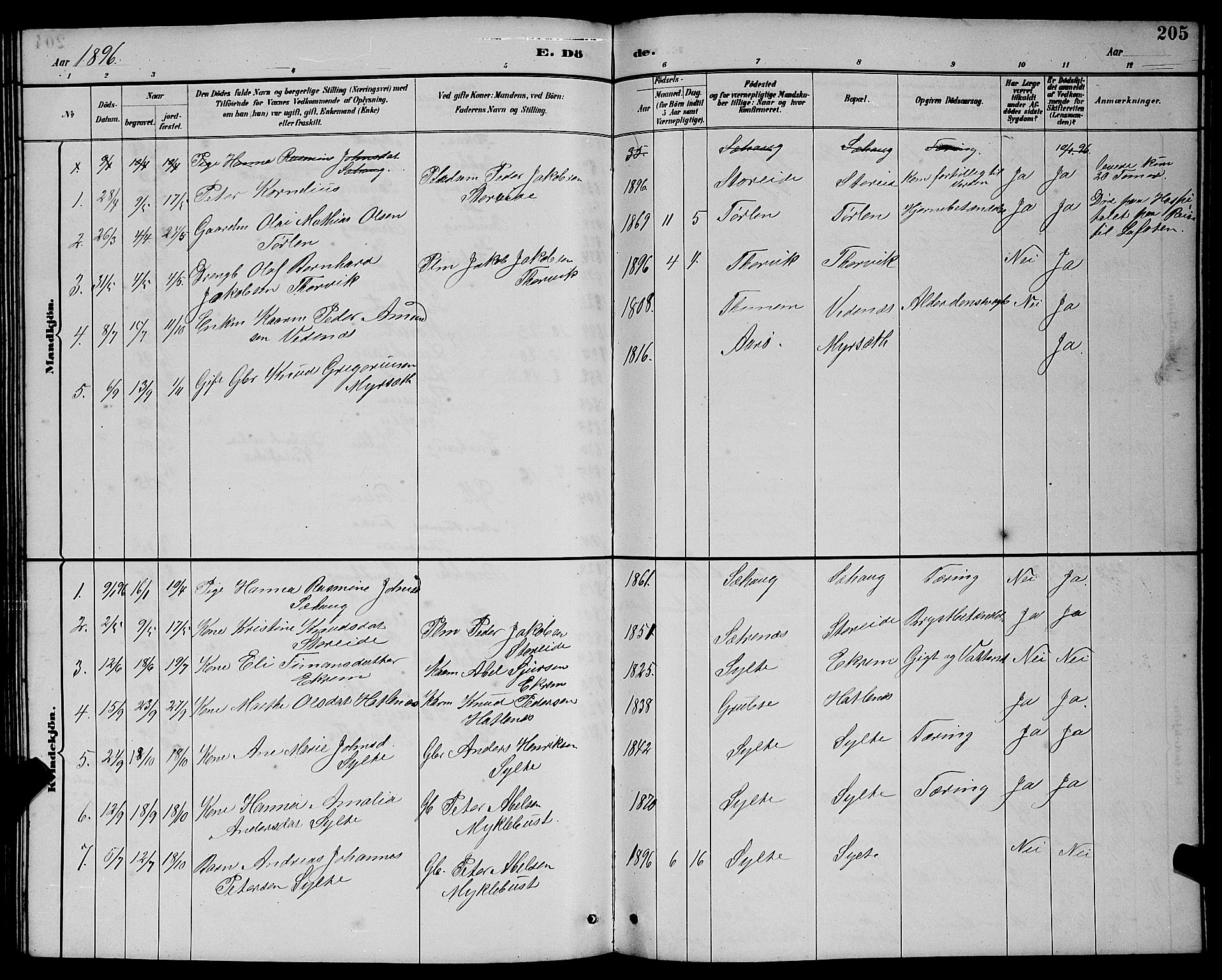 Ministerialprotokoller, klokkerbøker og fødselsregistre - Møre og Romsdal, AV/SAT-A-1454/501/L0017: Parish register (copy) no. 501C03, 1885-1901, p. 205