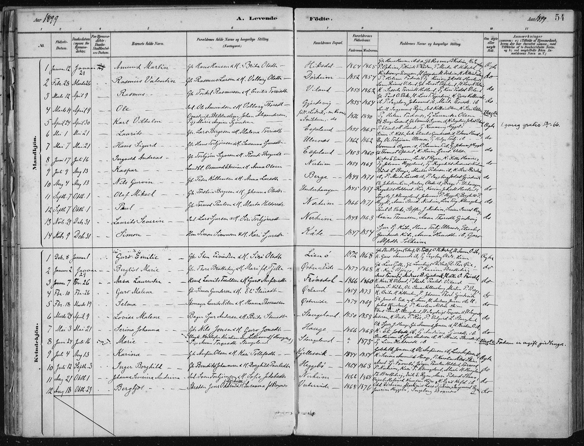 Fjelberg sokneprestembete, SAB/A-75201/H/Haa: Parish register (official) no. D 1, 1879-1918, p. 54