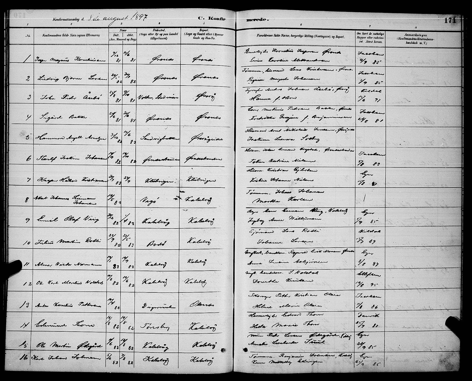 Ministerialprotokoller, klokkerbøker og fødselsregistre - Nordland, AV/SAT-A-1459/874/L1077: Parish register (copy) no. 874C06, 1891-1900, p. 171