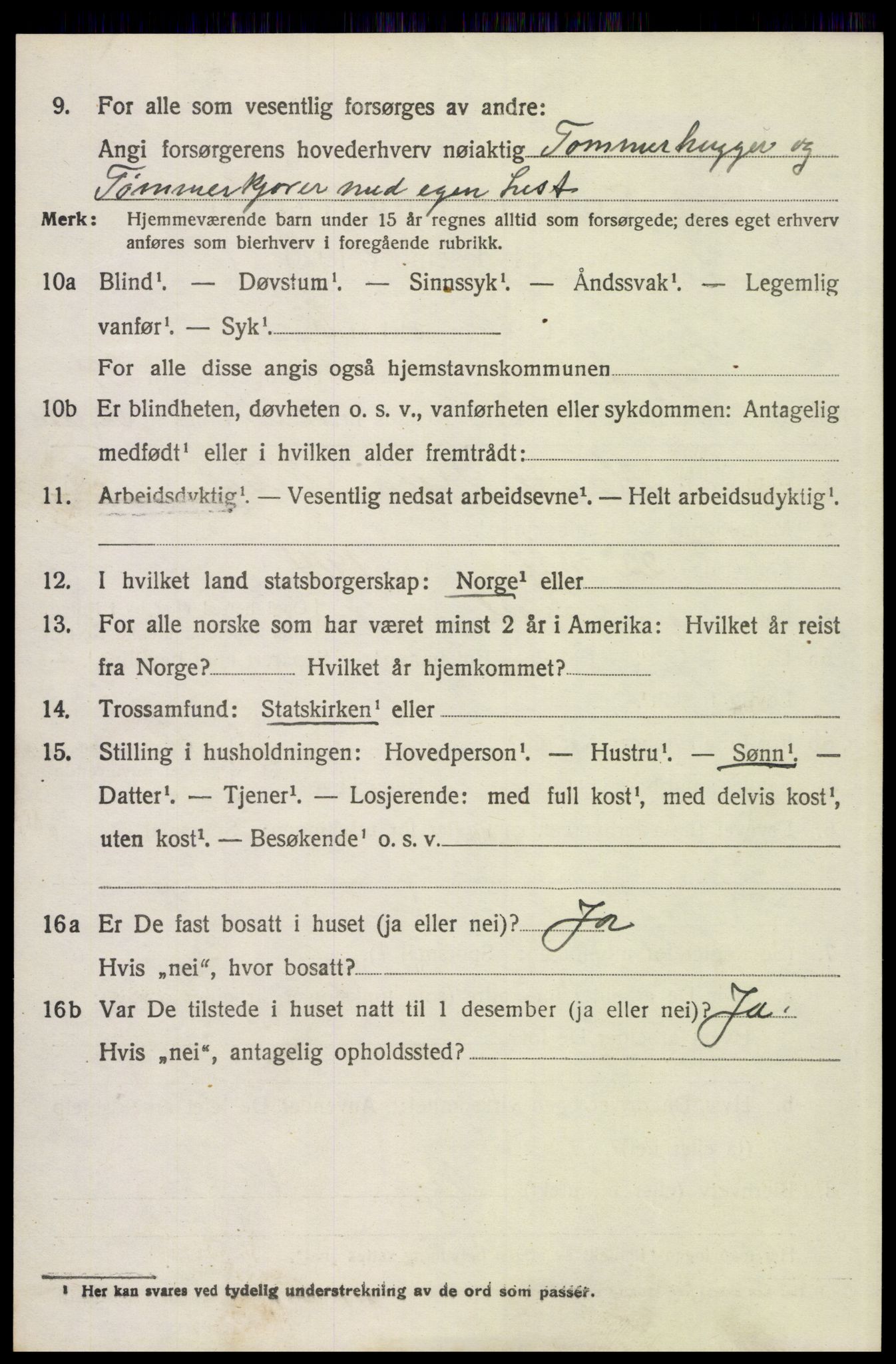 SAH, 1920 census for Trysil, 1920, p. 15244